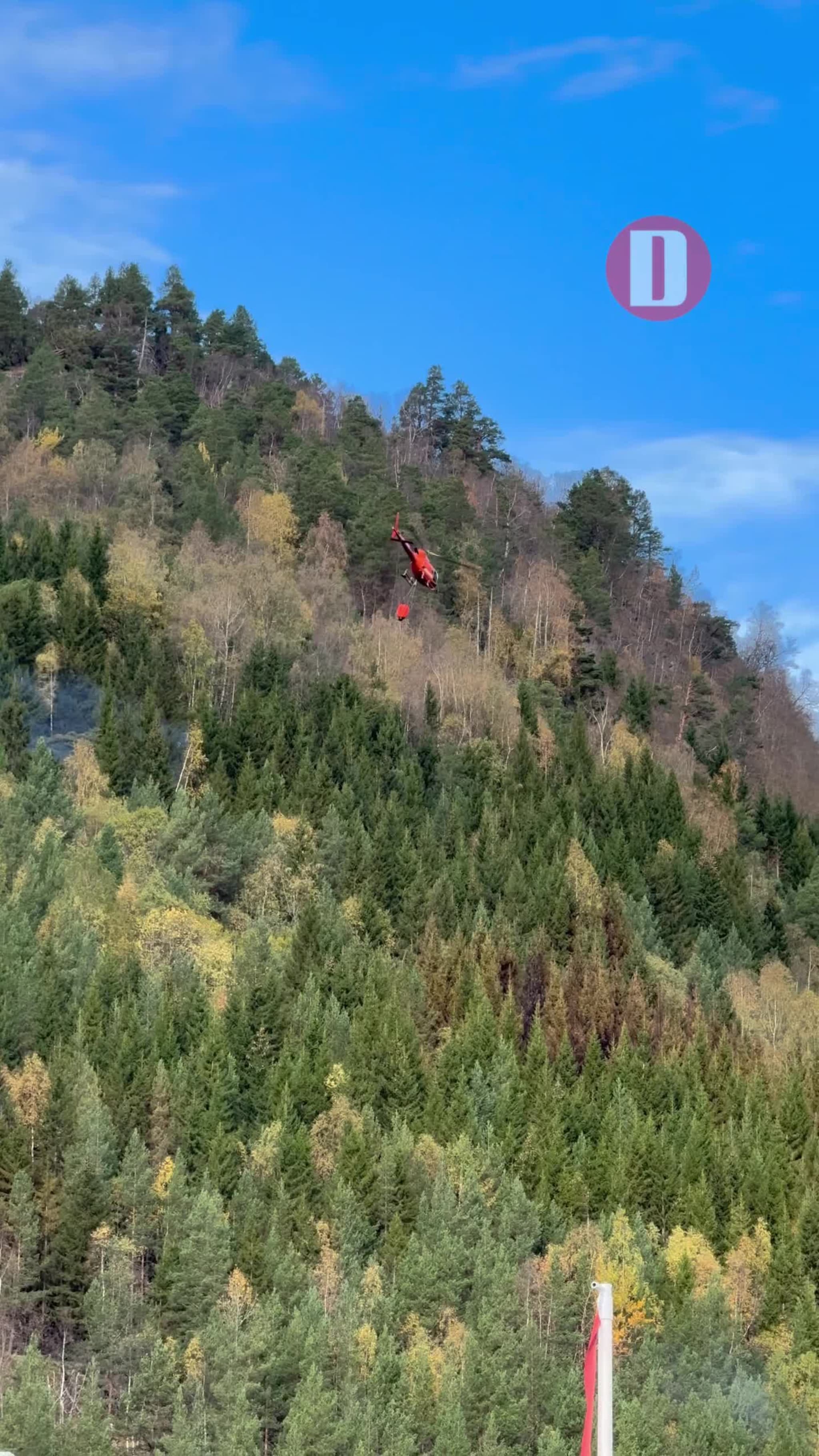Brannen på Gjøra roer seg  Etter flere timer med intens innsats er terrengbrannen ved Gjøra nå under kontroll.