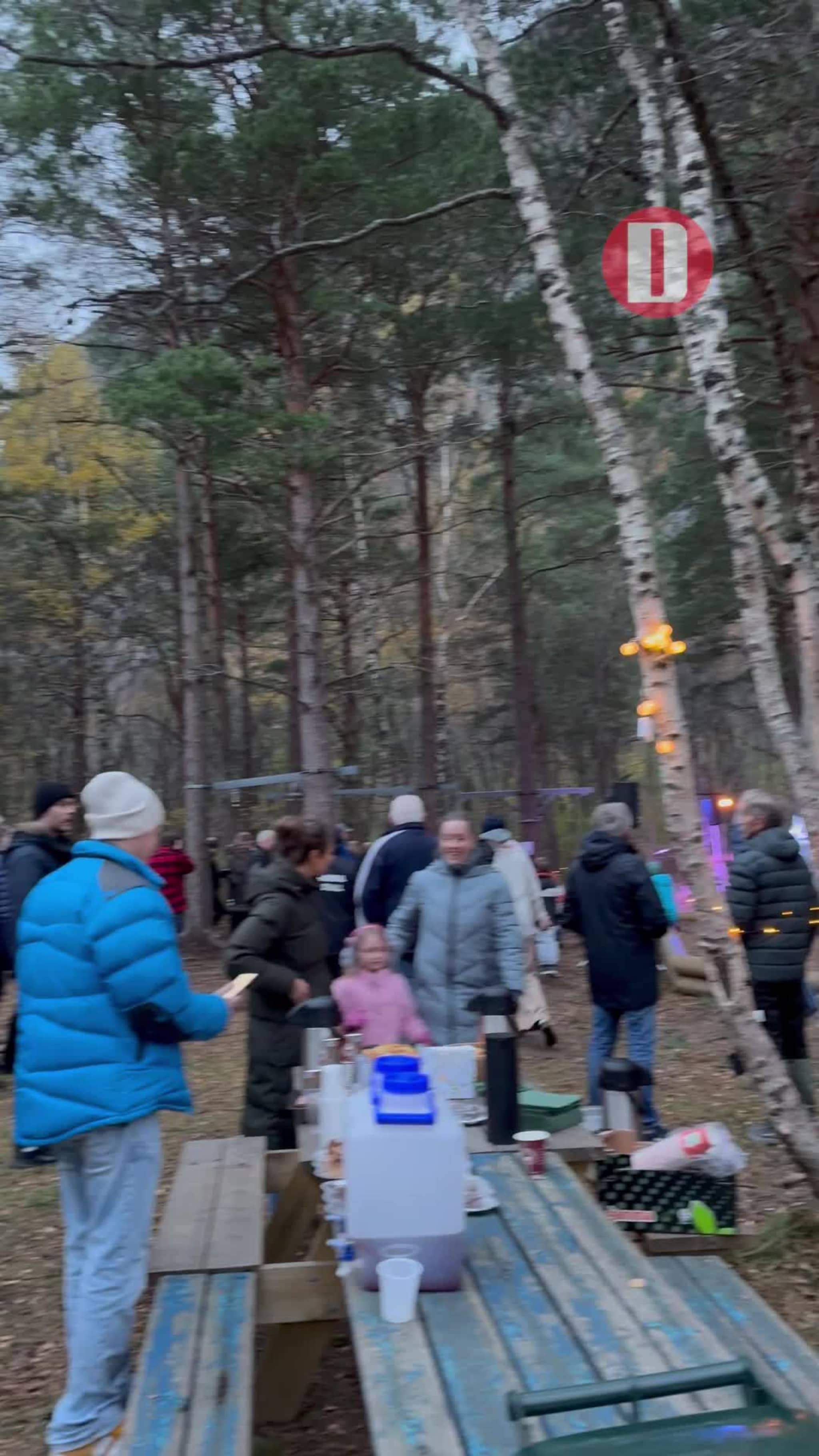 Reveenka og høstkveldsmagi i klatreparken