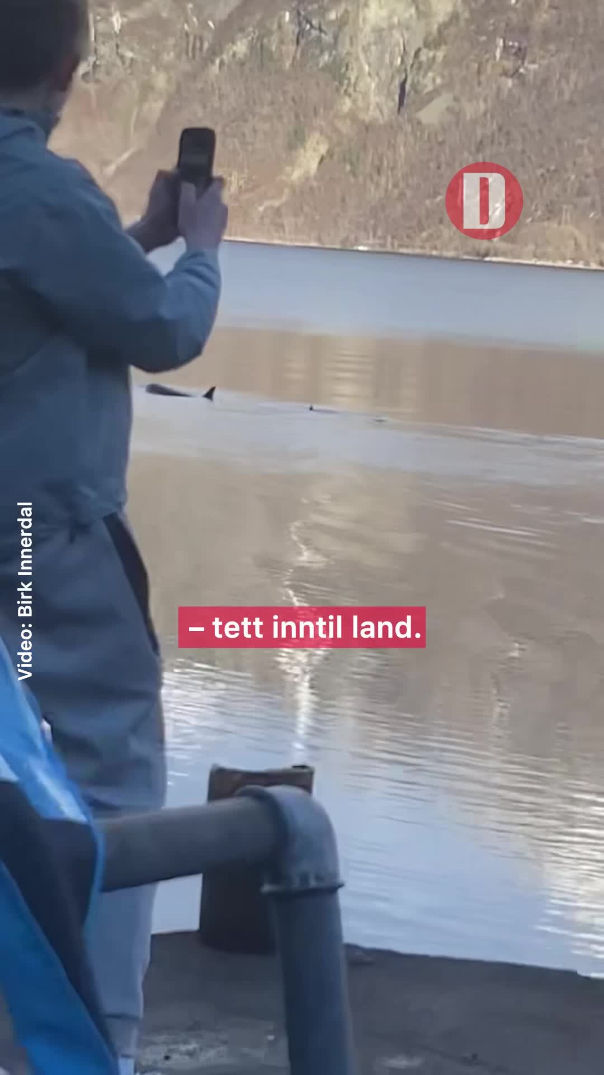 Filmet spekkhoggere fra land