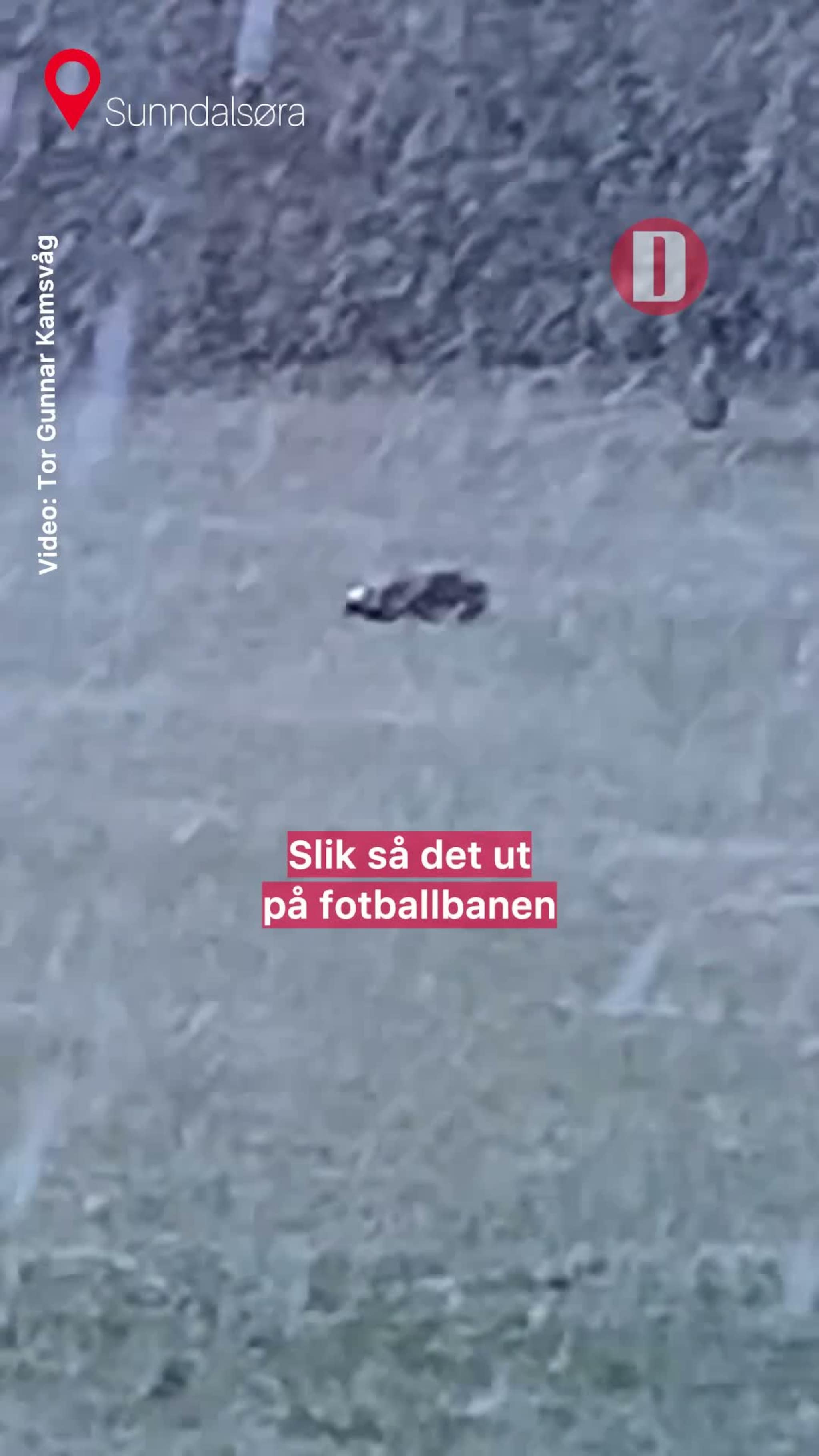 «Sliter no» 