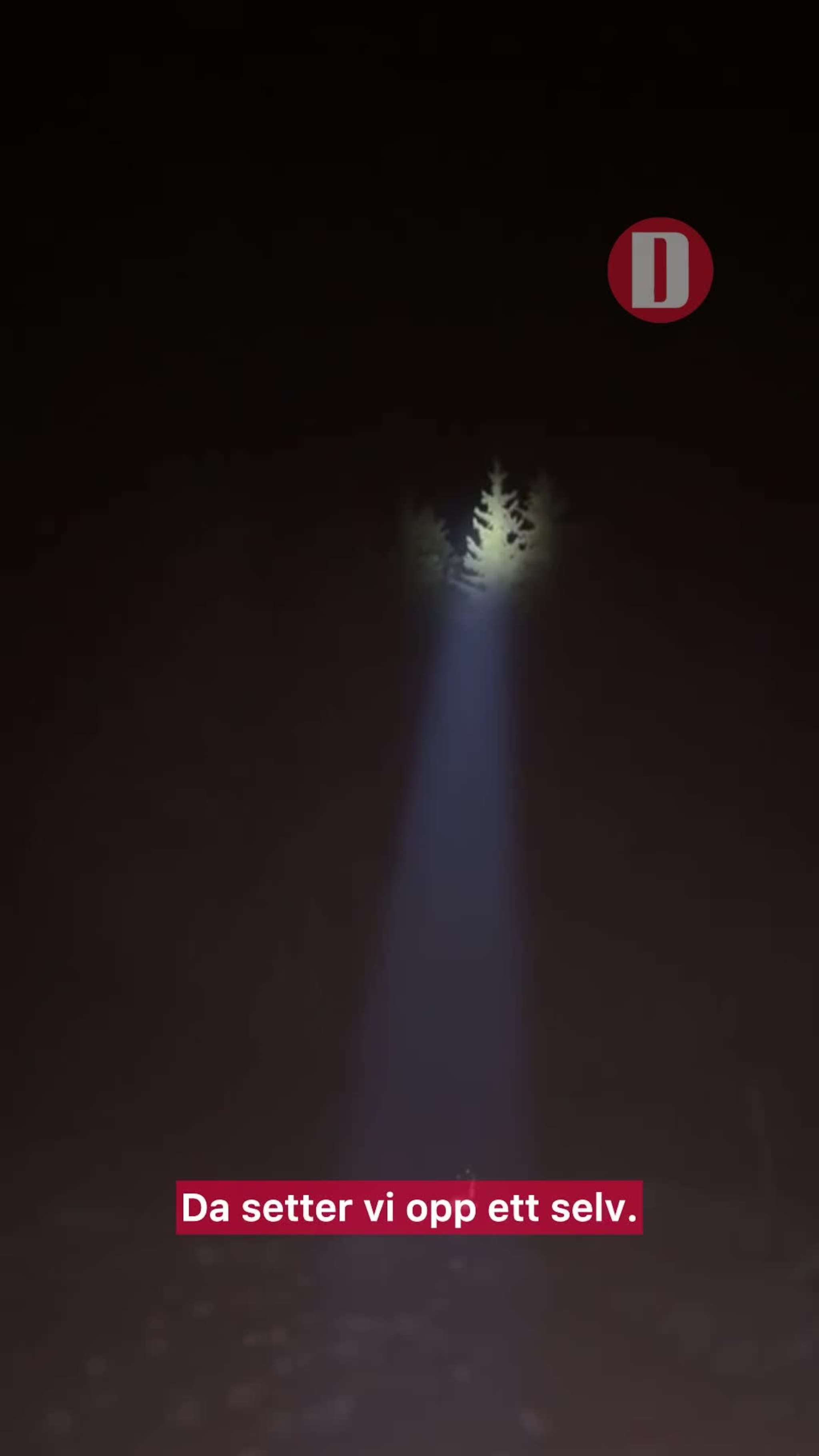 Ingen juletre på Skei, sa kommunen. Så skjedde dette – i løpet av én natt.