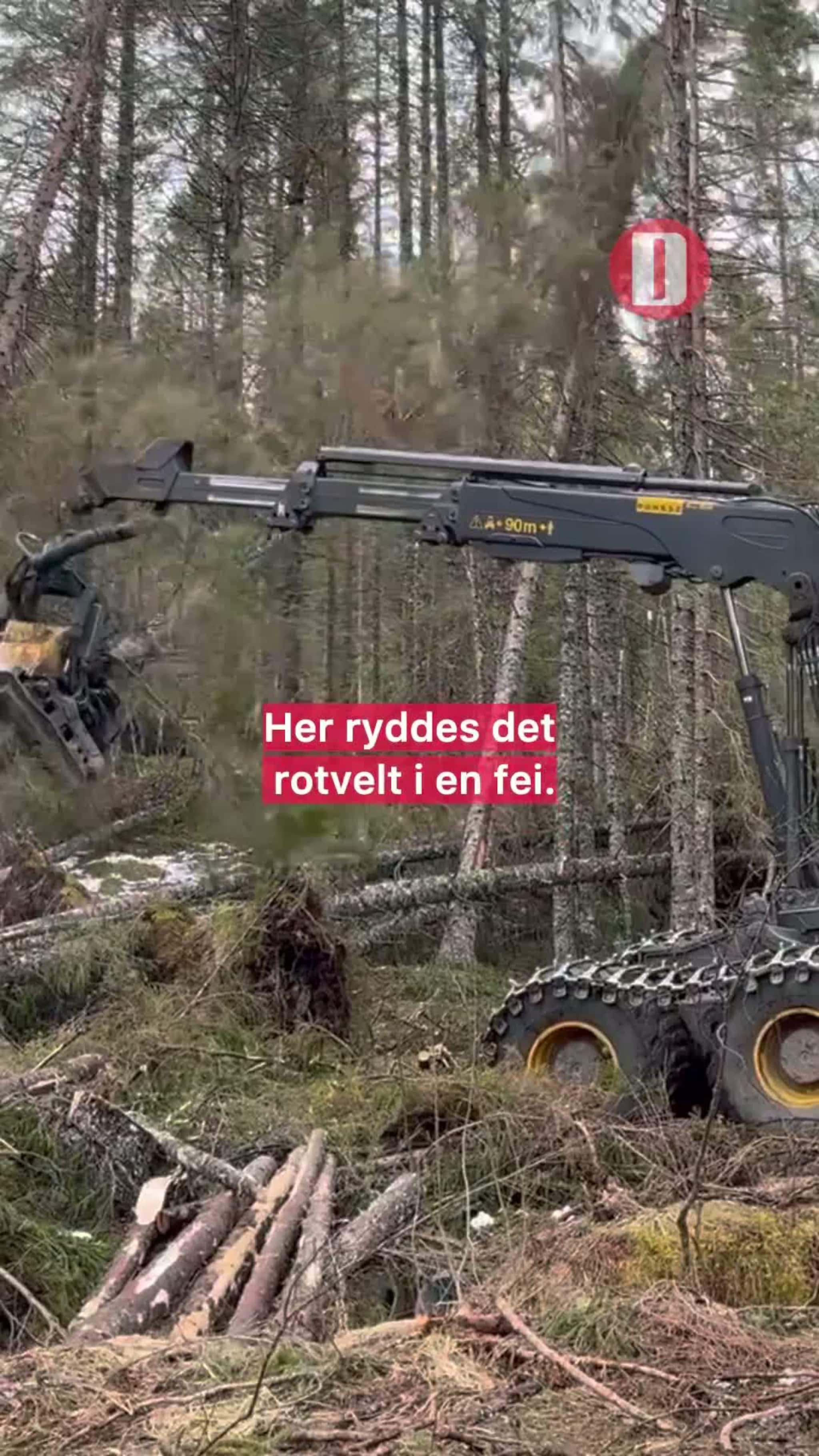 Her ryddes det rotvelt i en fei