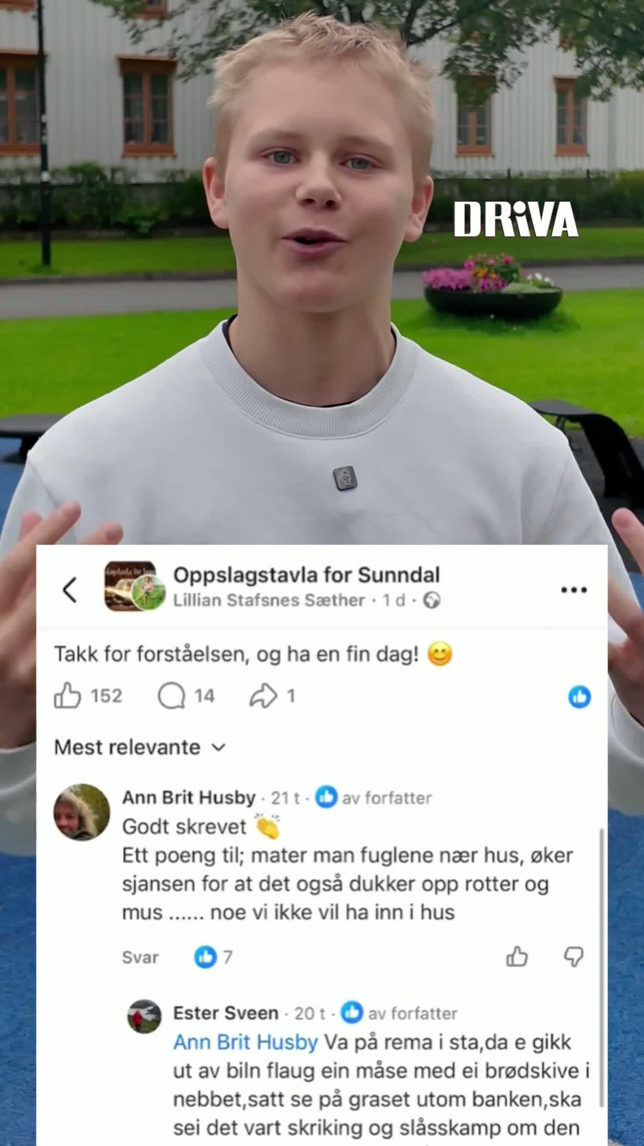 Har du sett folk mat måkene?