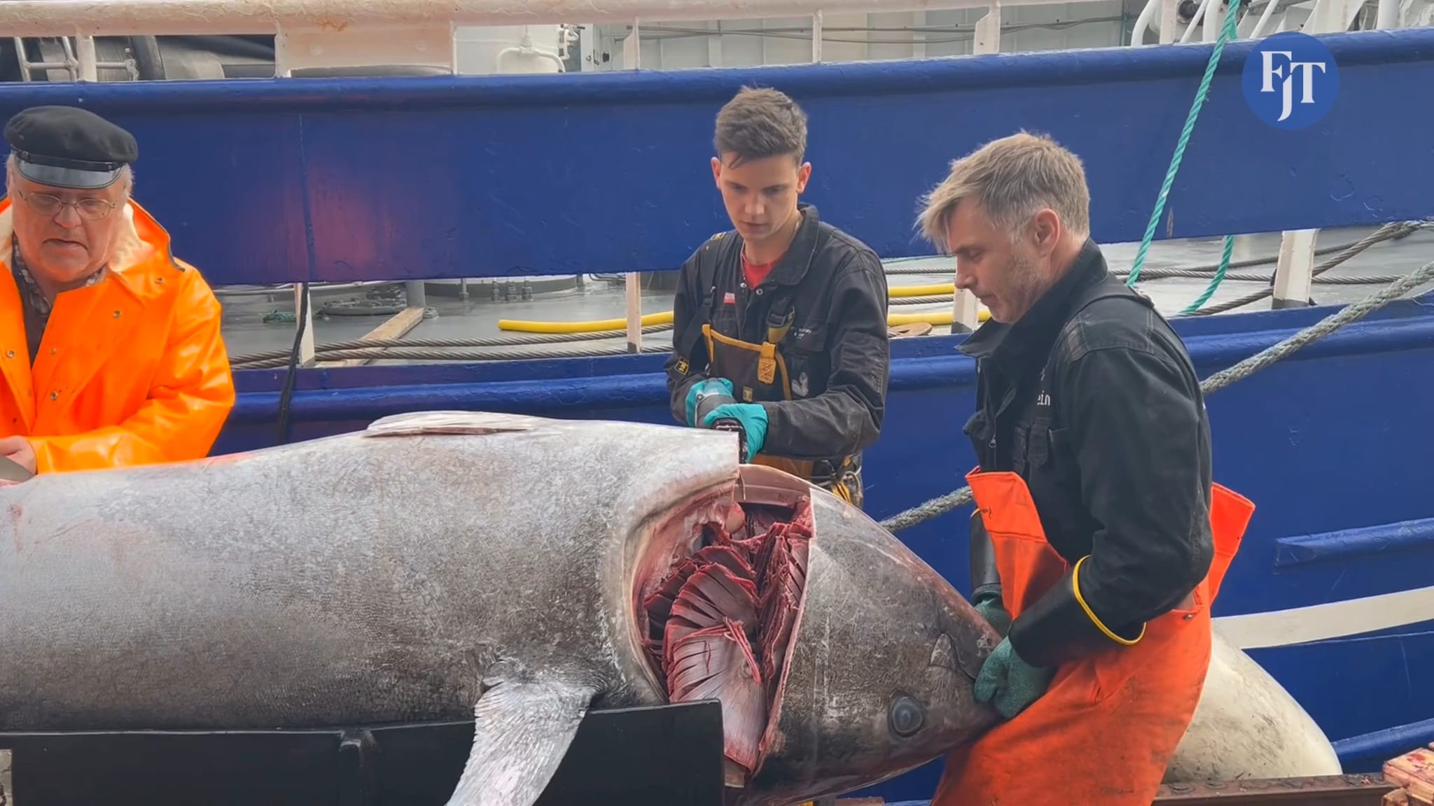 Hillersøy leverer makrellstørje hos Domstein Fish 25.09.2025