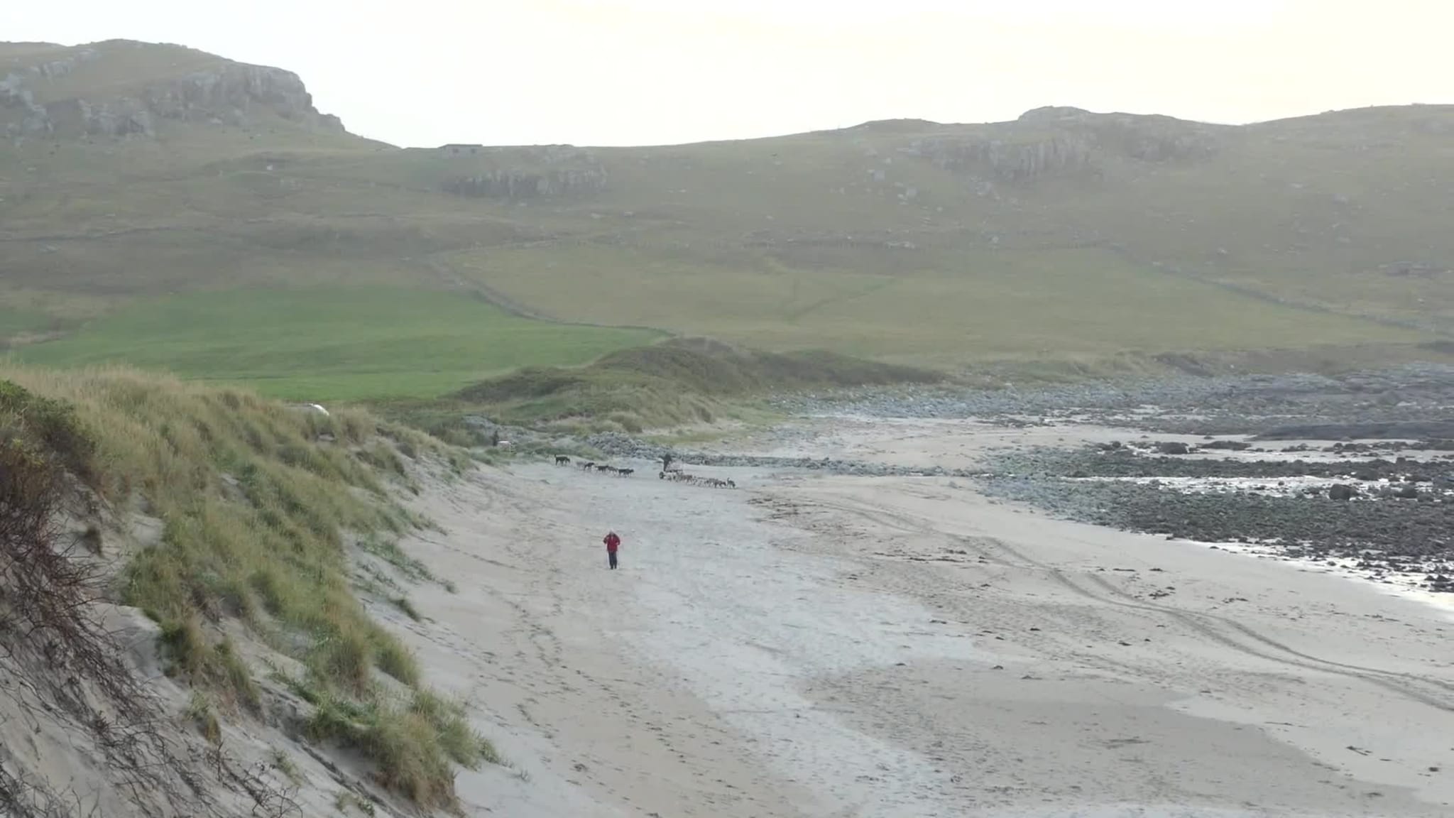 Hundekøyrarar på Ervik.mp4