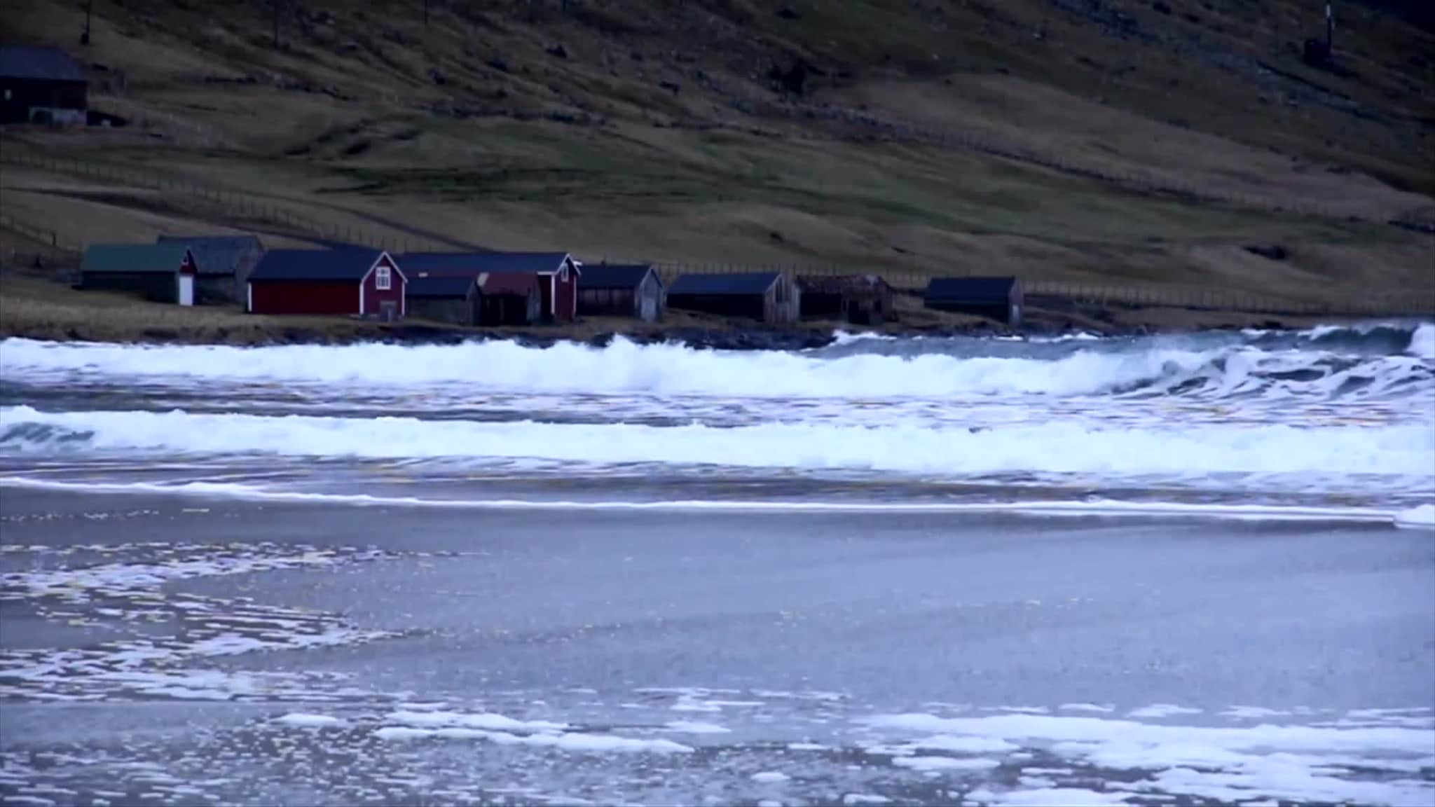 Sanddynefronten på Refviksanden på Vågsøy.