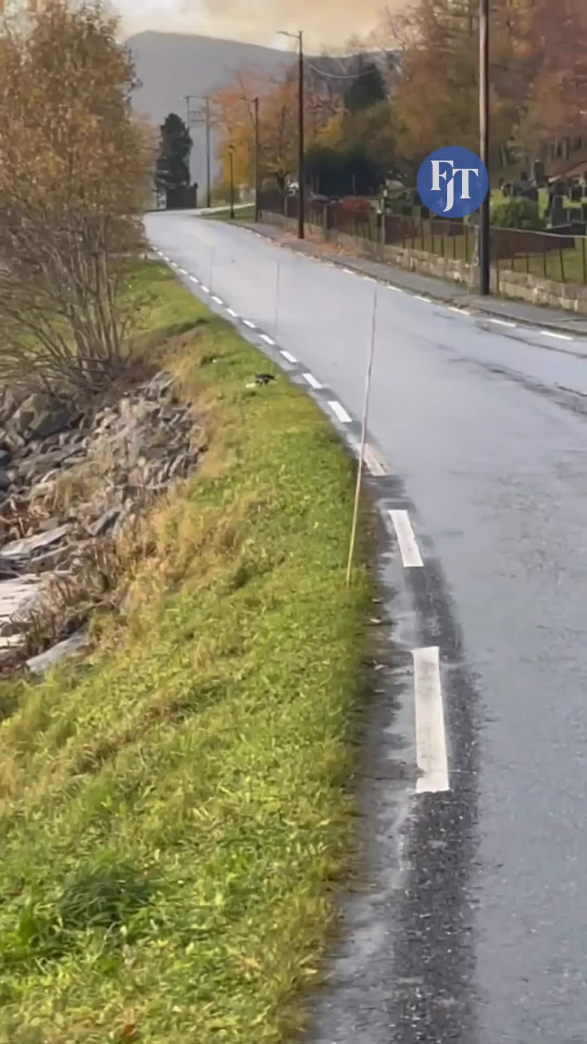 Ser du kva kråka har fått tak i?