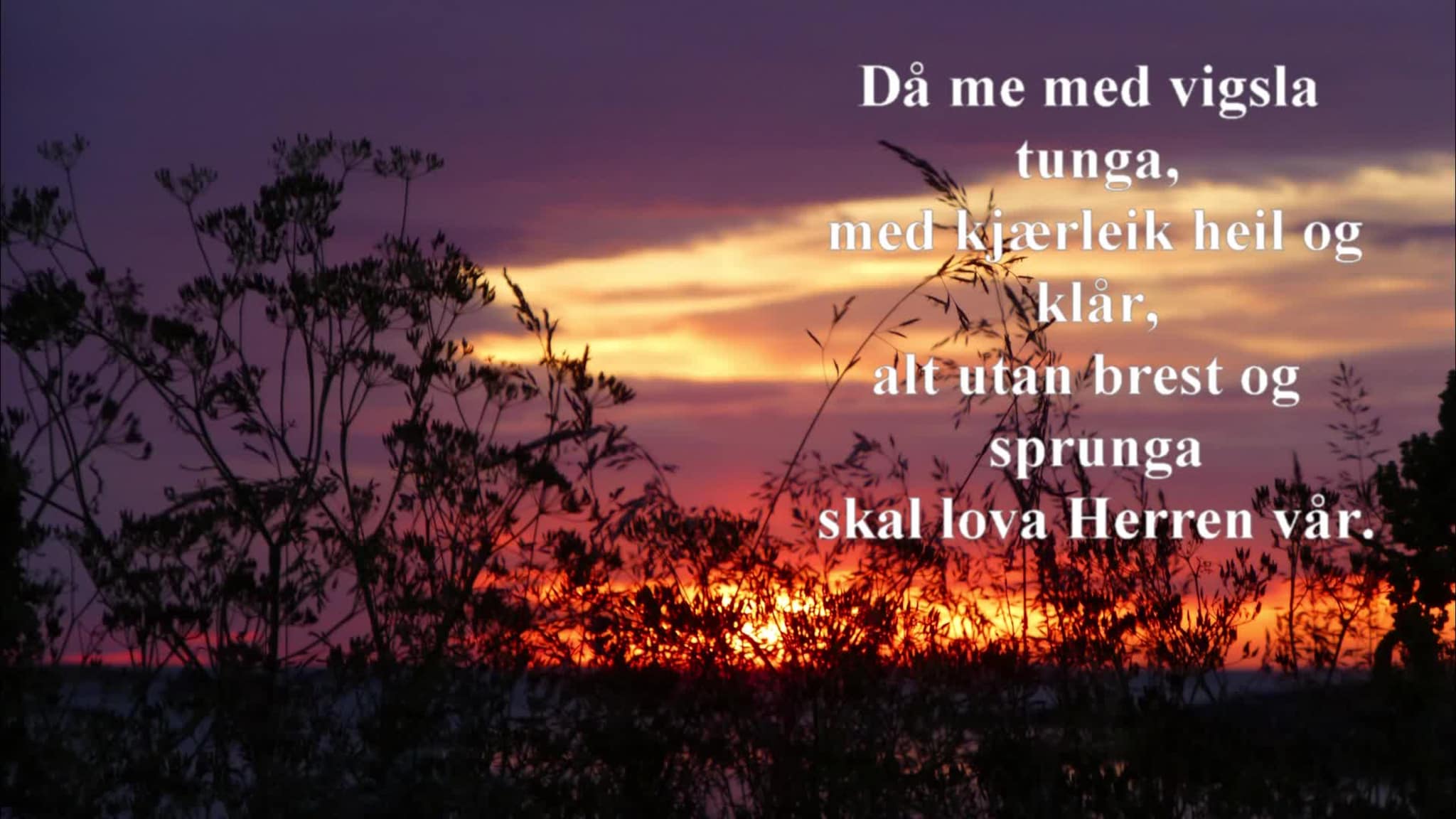tale for dagen fra parken kulturhus.mp4