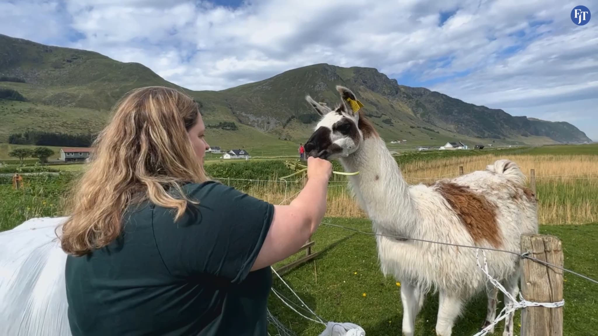 Veit du kva ein Lama og Kjellrun har til felles?