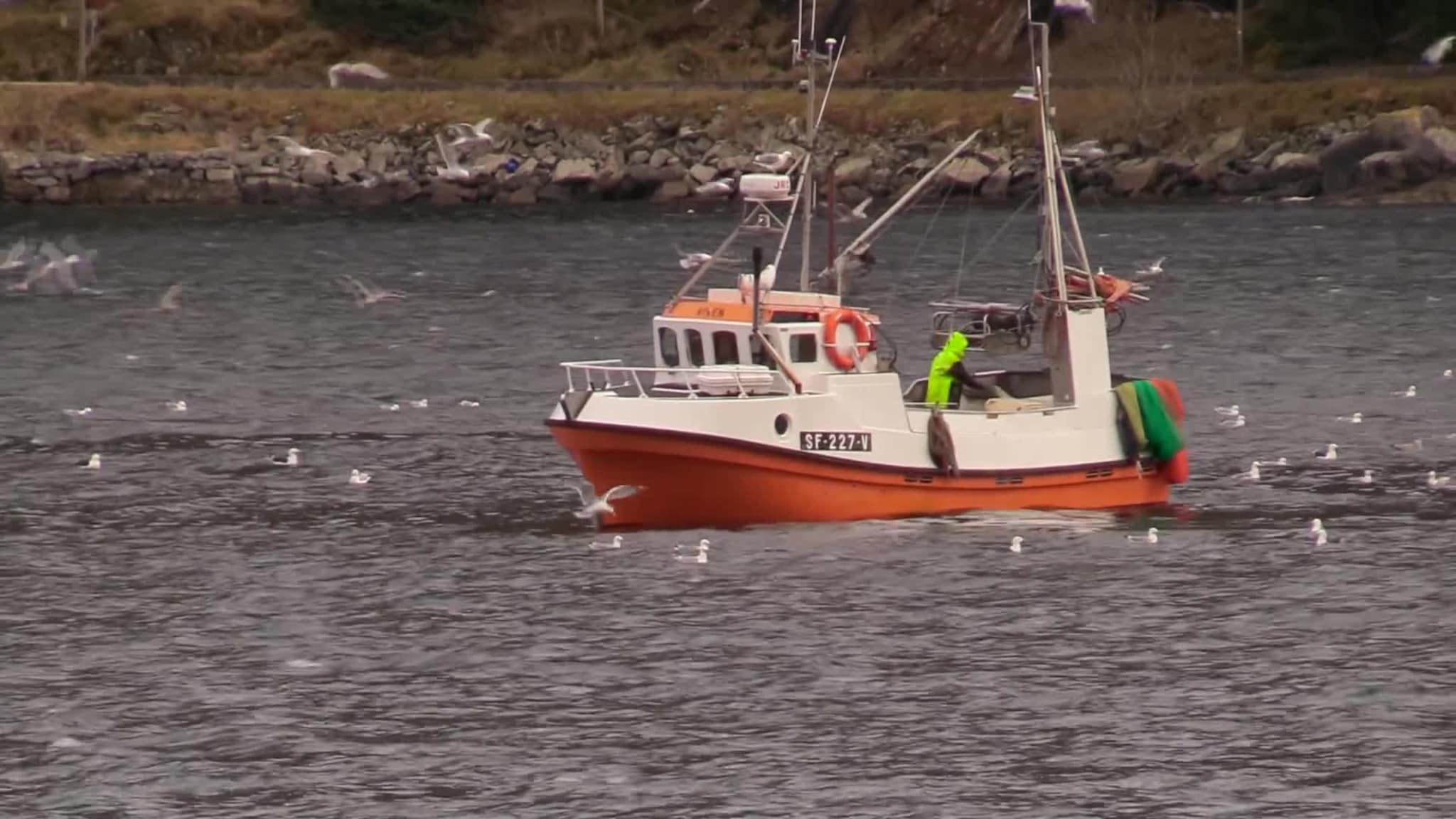 Fiskeri i torskangerpollen