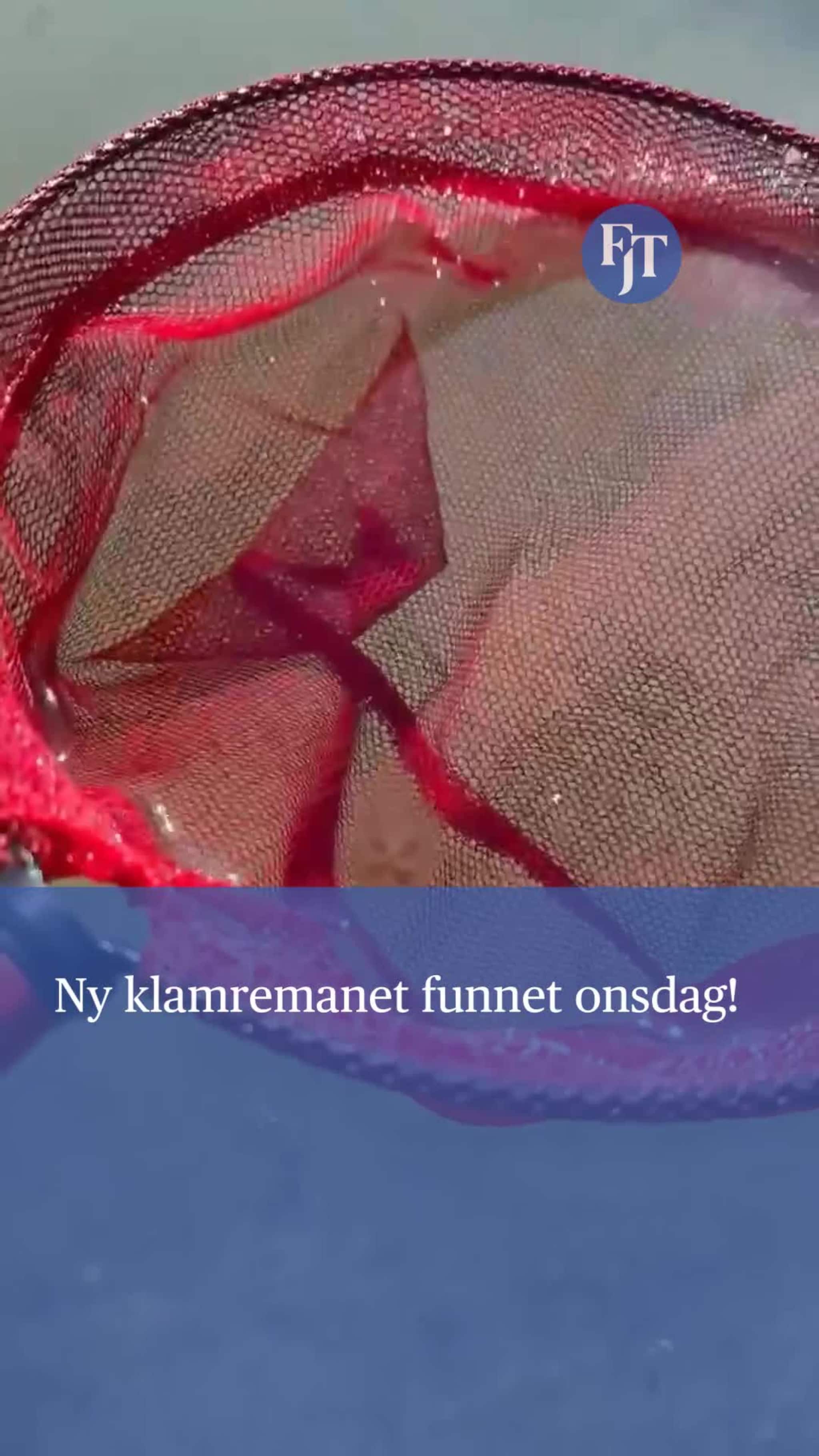 Klamremanet er funnet