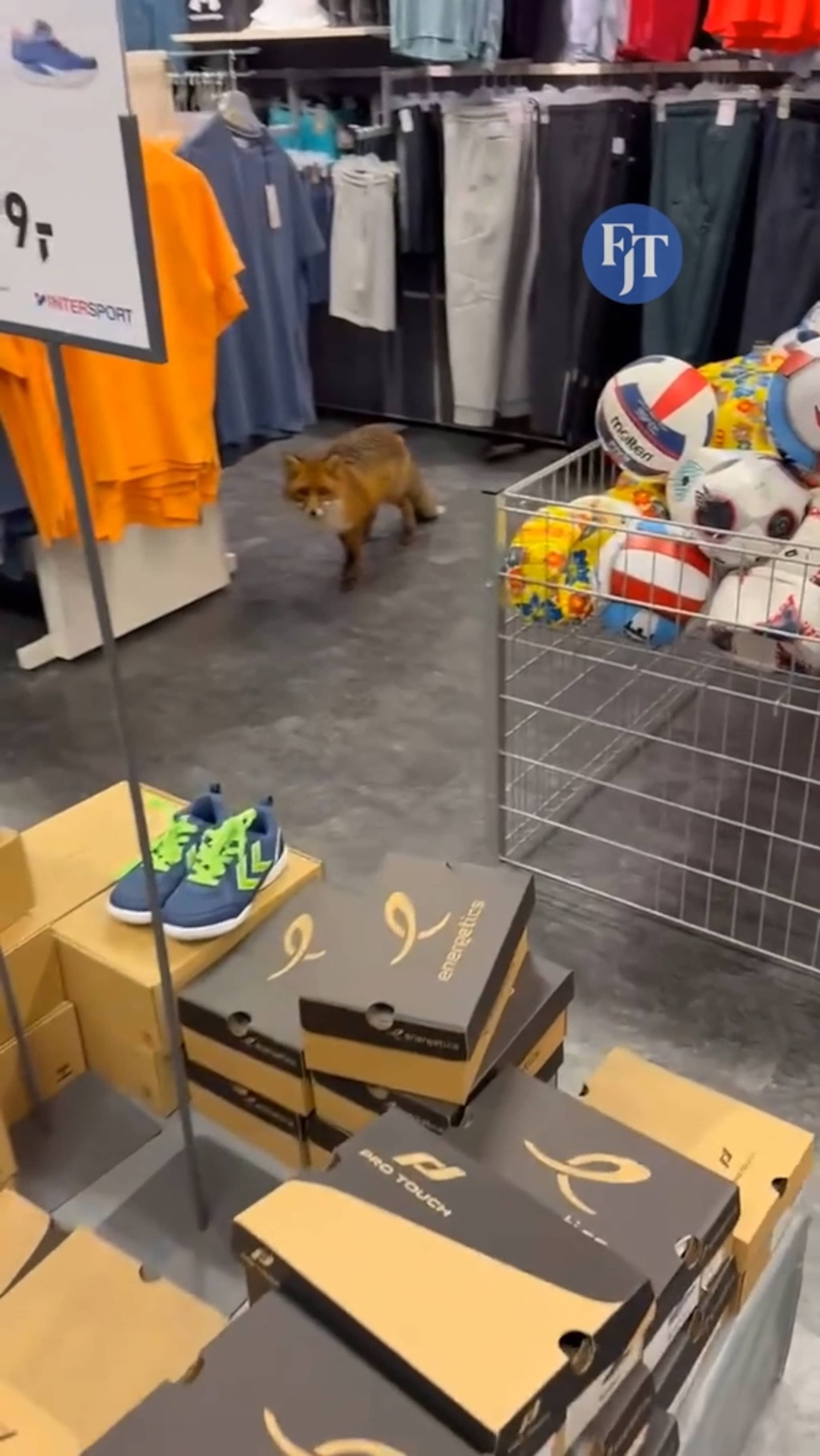 Rev sneik seg inn i butikken