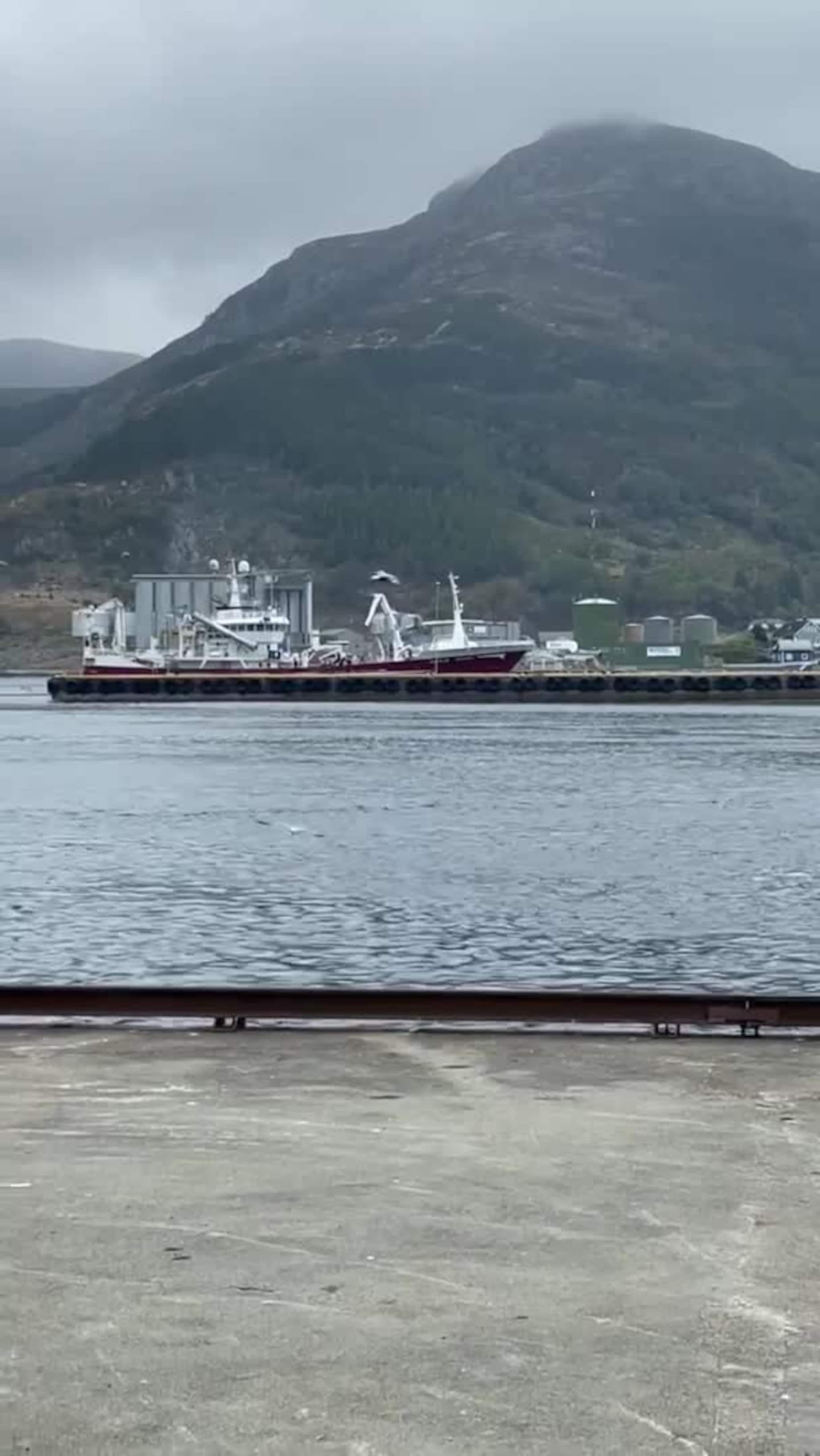 Makrellfisket er i gang