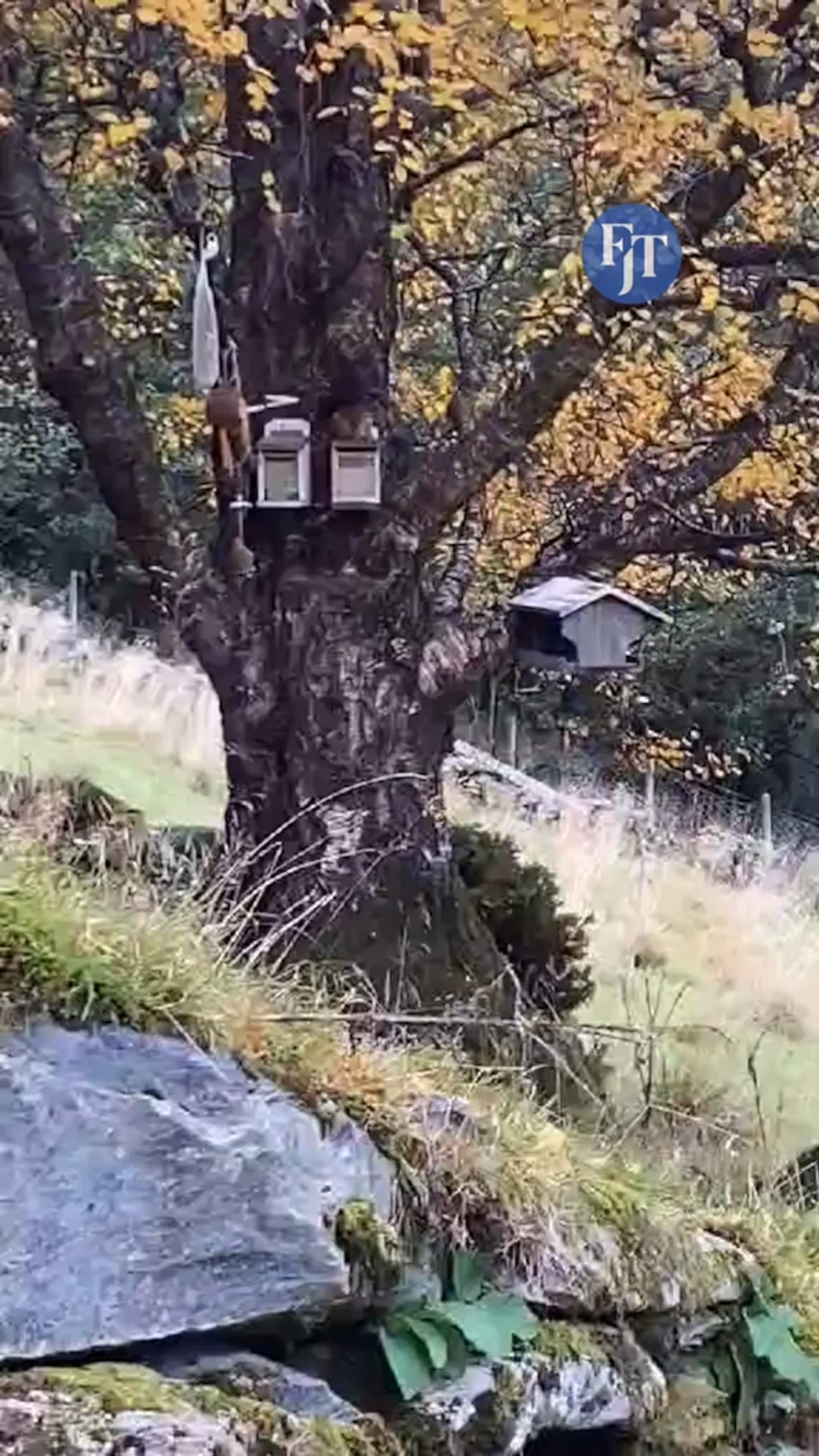 Snipp og Snapp i Selje