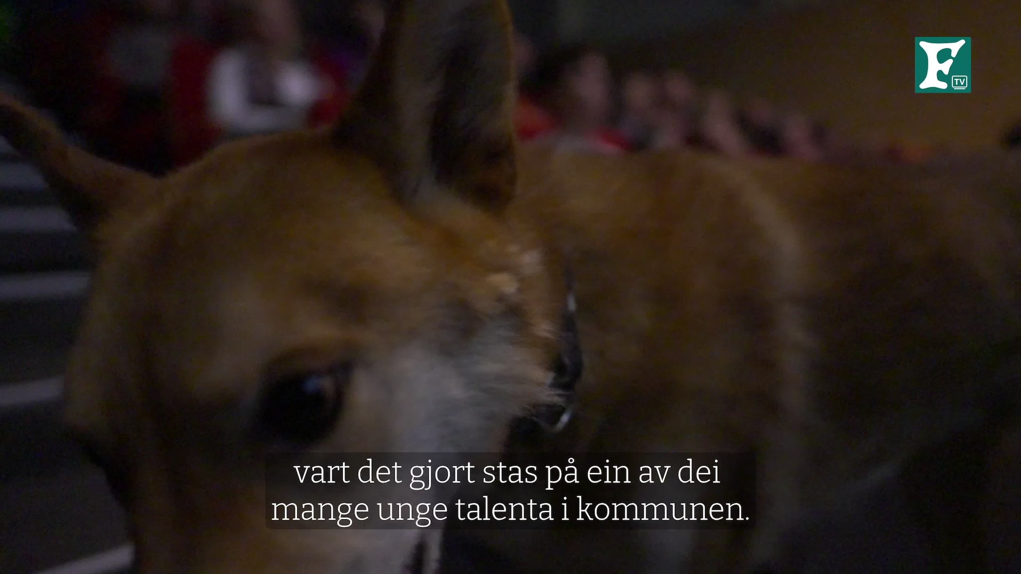 Kristian Moen fekk kulturstipendet 2023