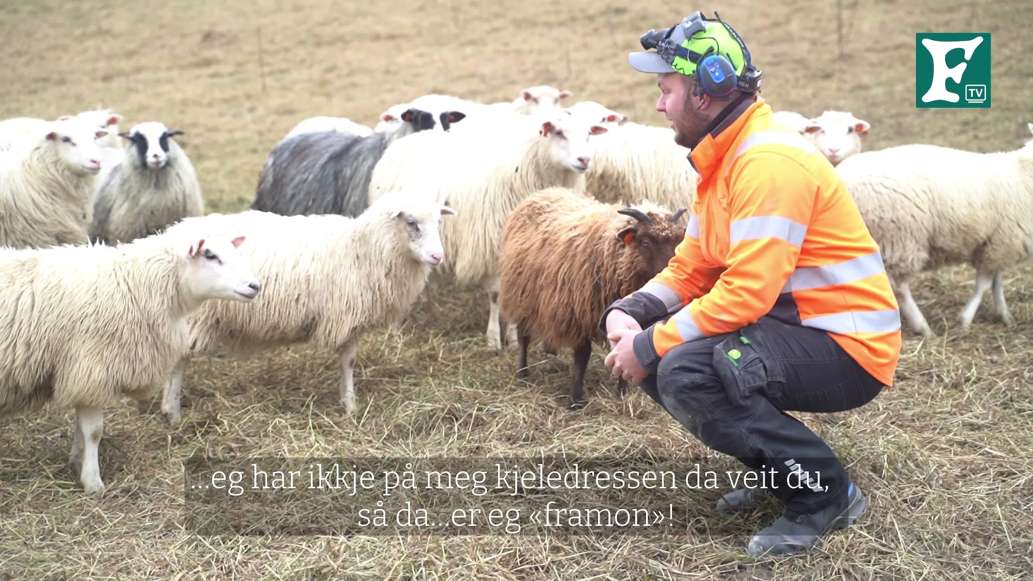 Jørn Kjetil utvidar med fjos