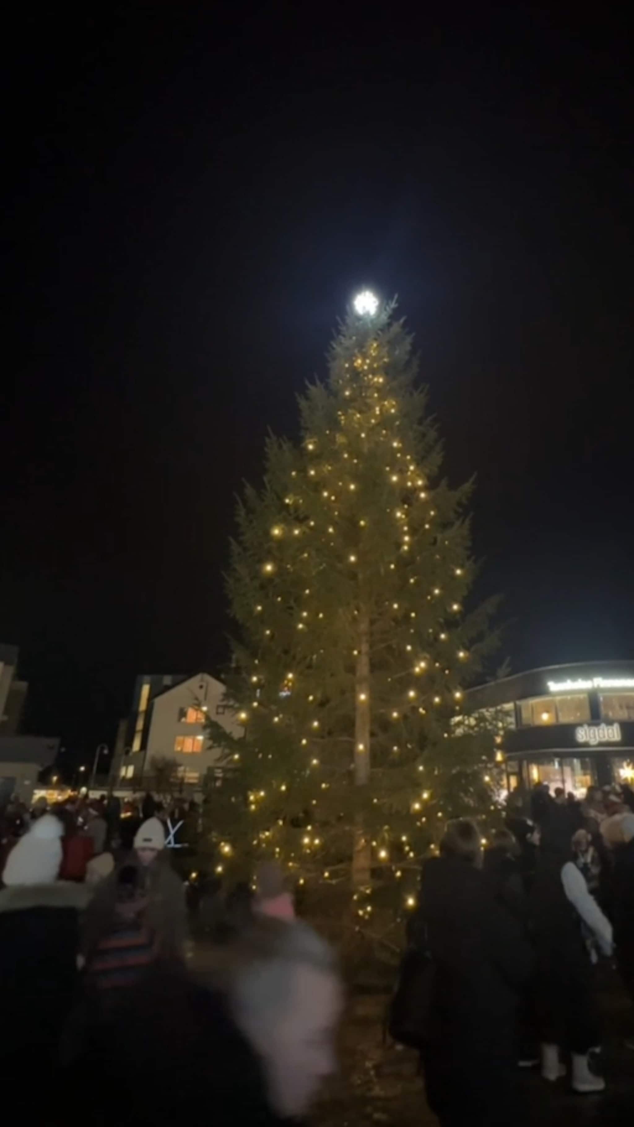 Her blir det lys i julegrana