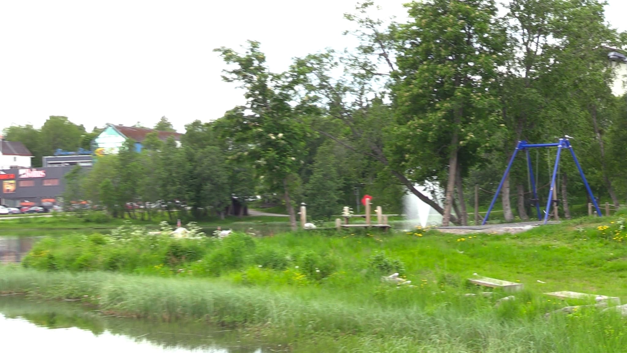 Mulig ternedrap i lekeparken