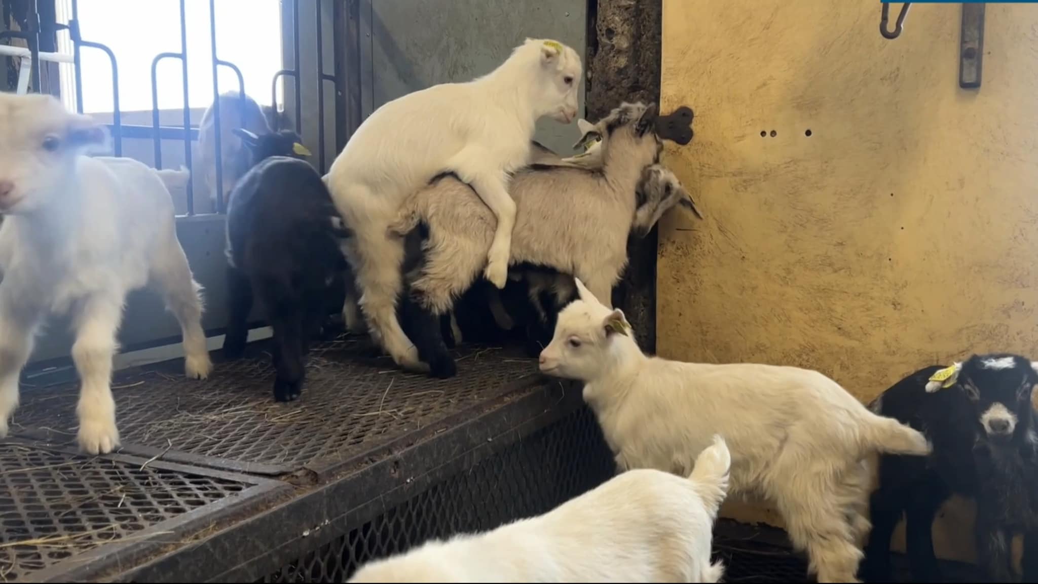 Janne og Bjørn er i en eksklusiv klubb