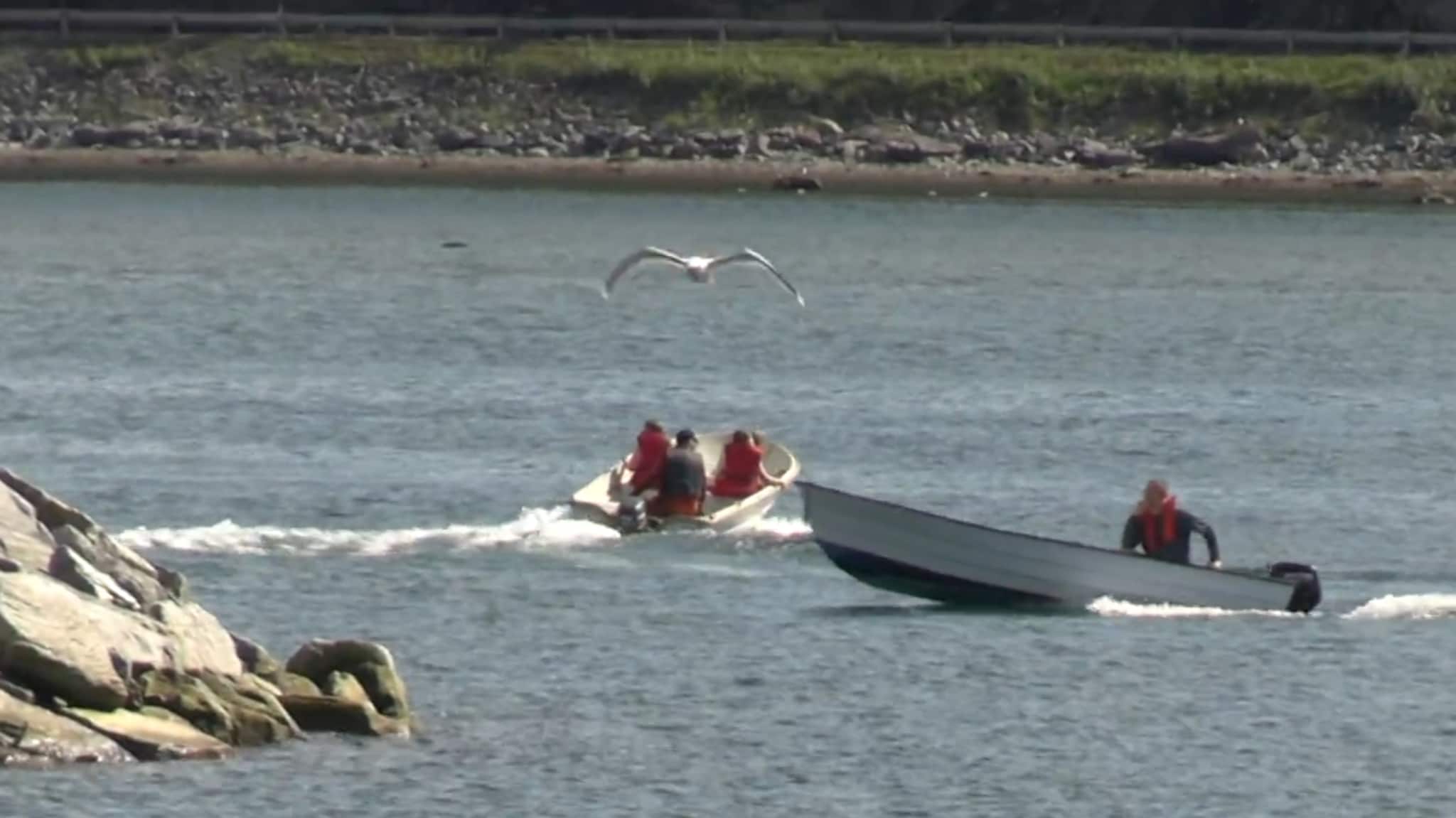 Kjempet i 45 minutter for vinnerfisken