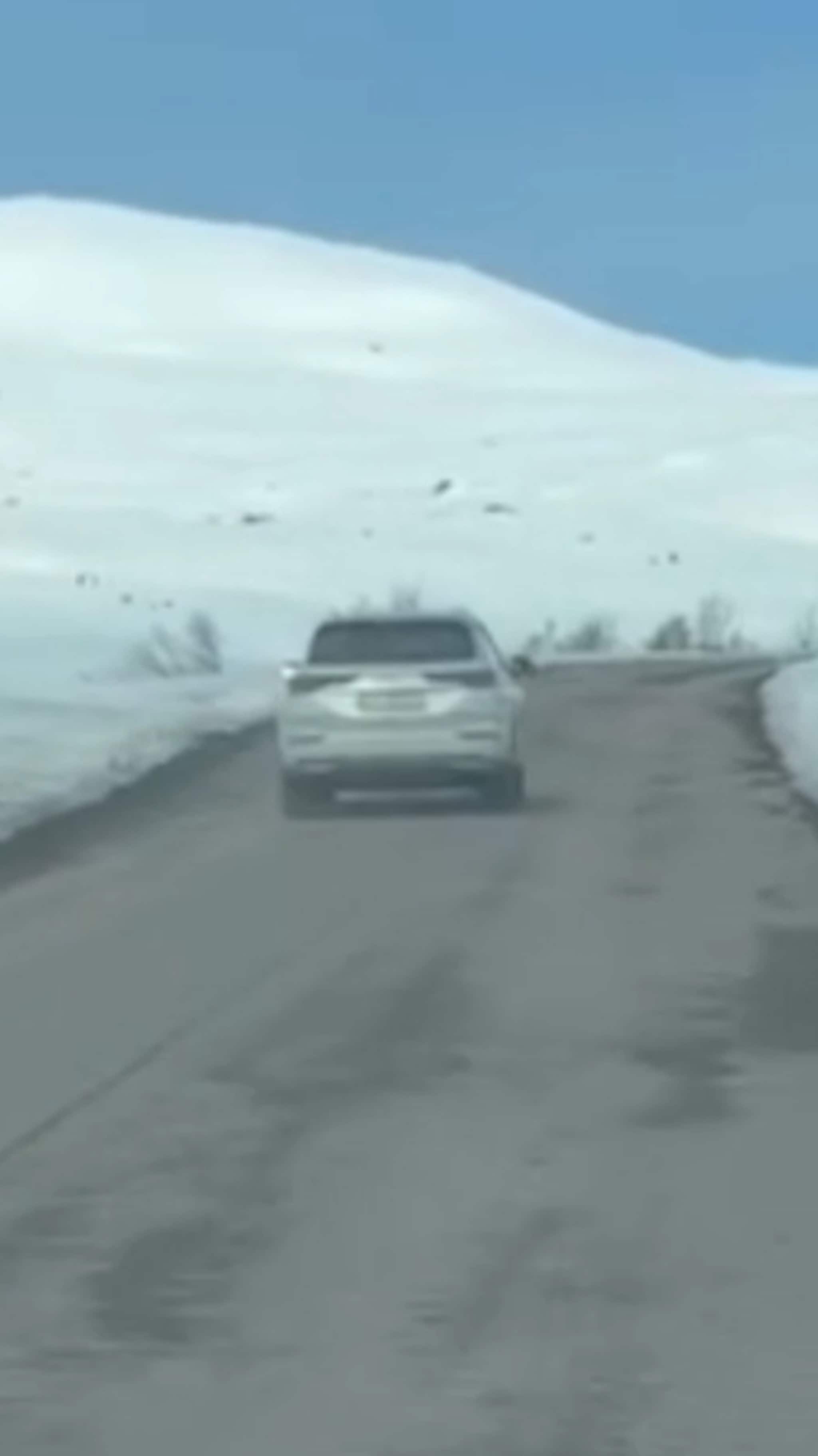 – De har jo null kontroll