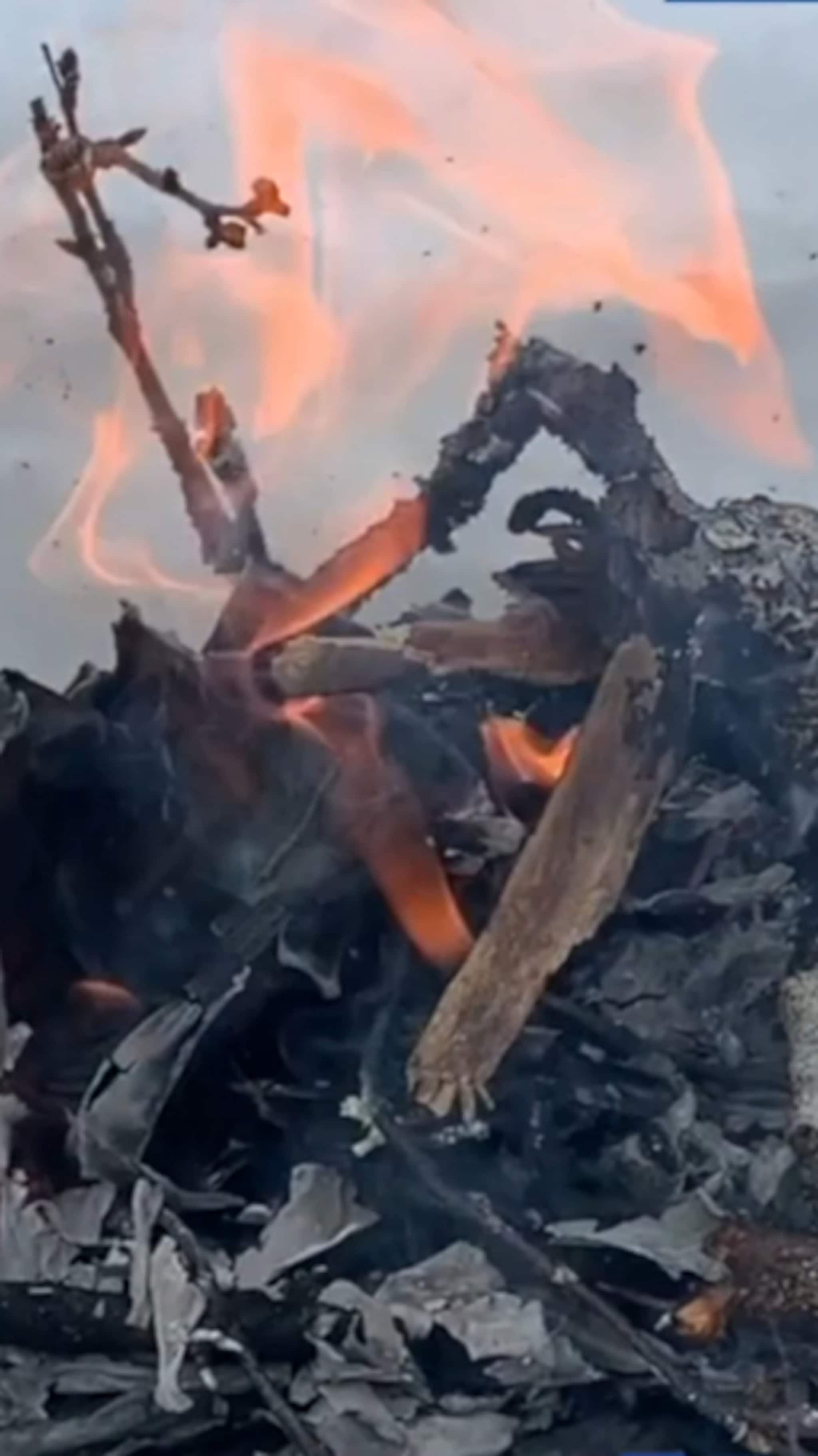 I år er dette ekstra viktig også i nord