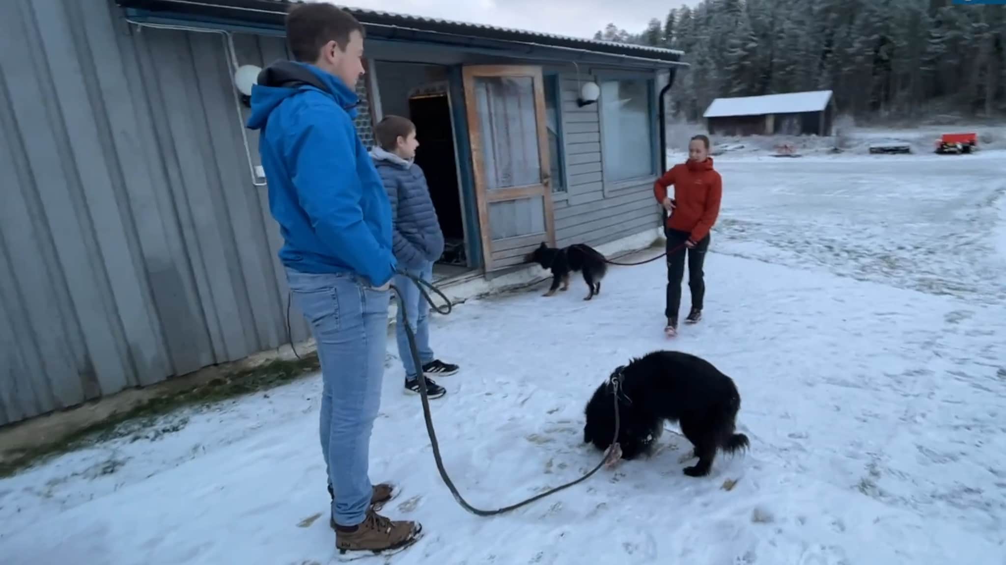Her er hundene tilbake på gården: – Vi er overlykkelig