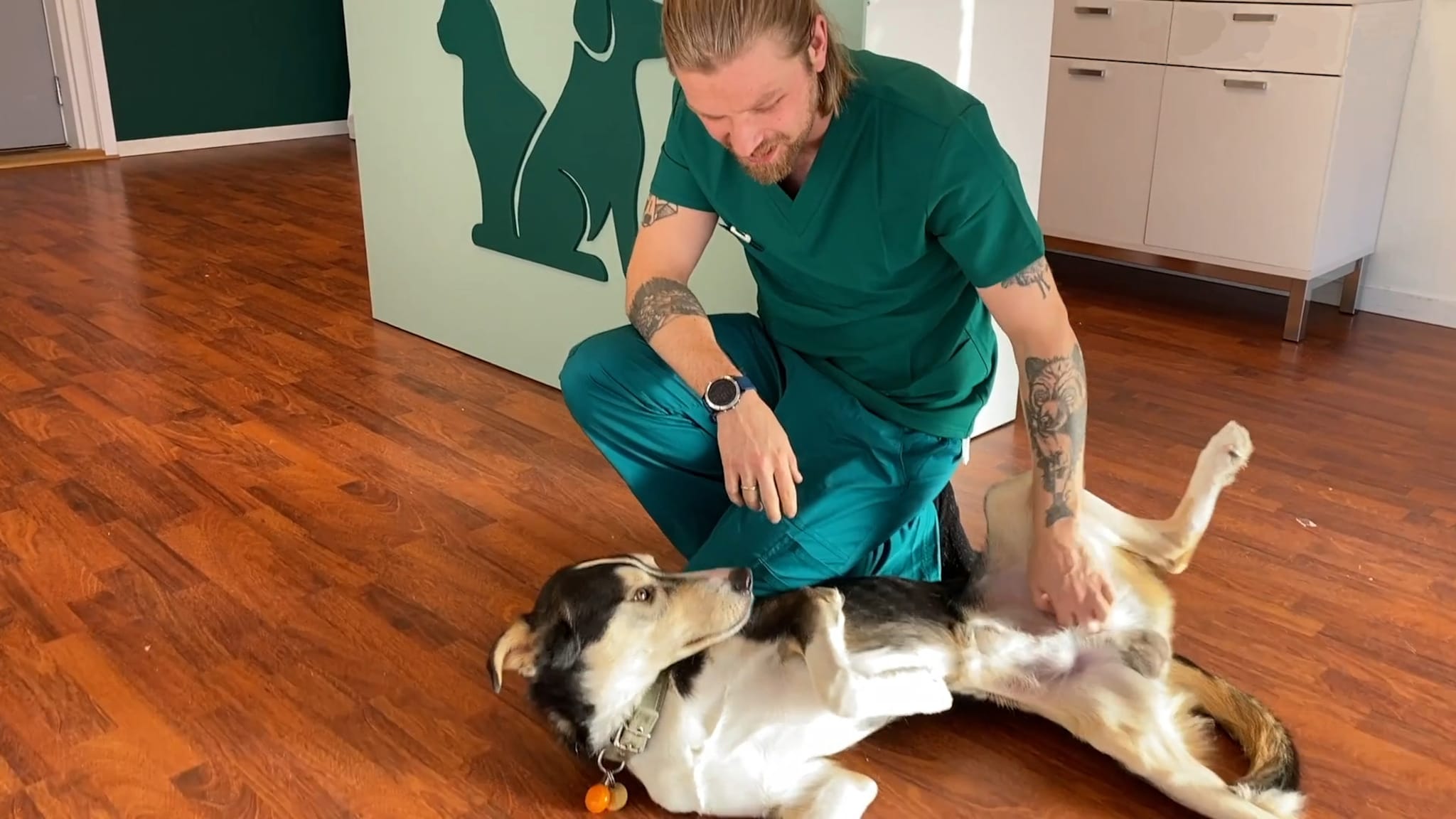 Slik blir den nye dyreklinikken