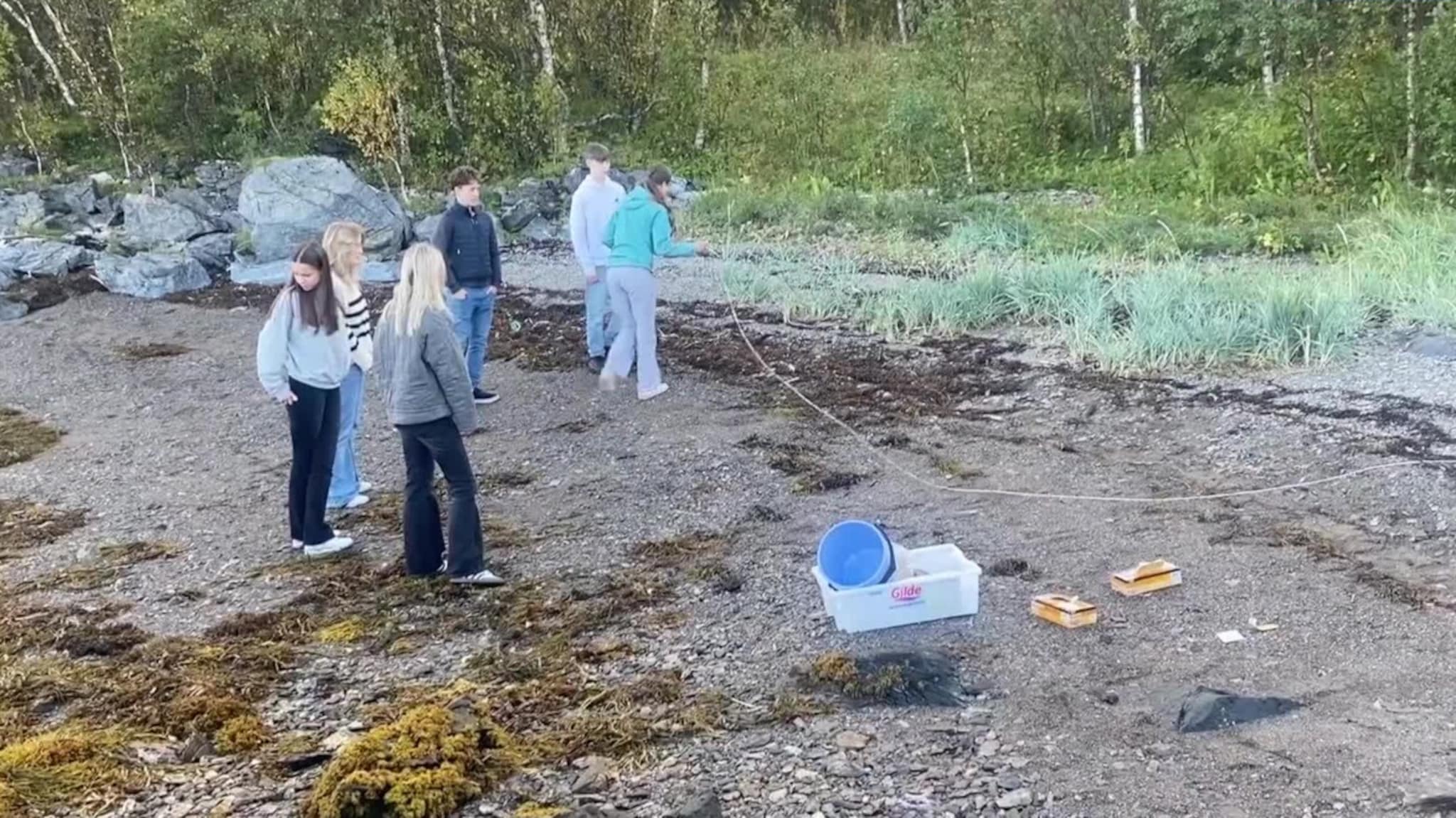 Elevprosjekt i fjæra: – Finner nye arter
