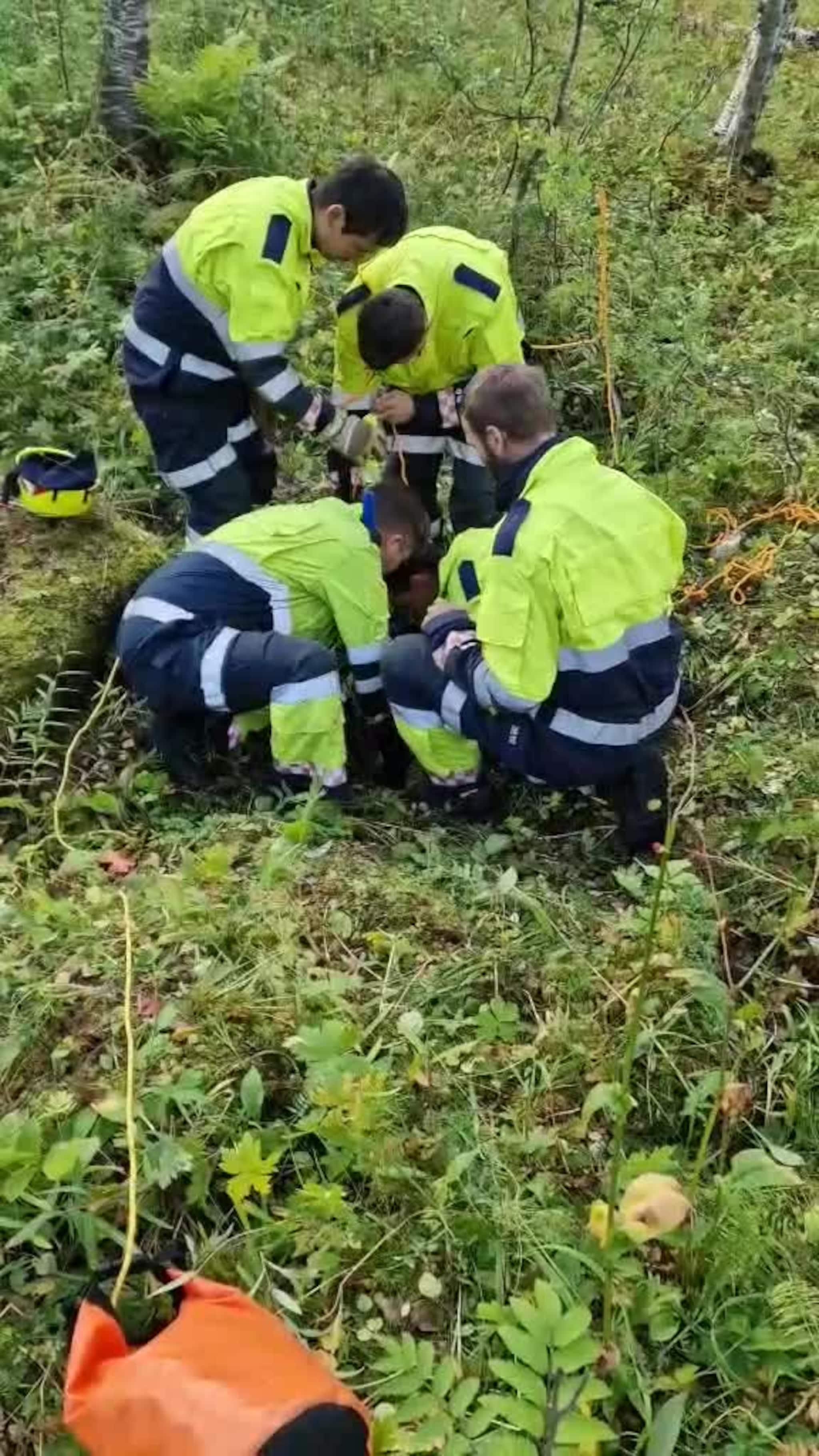 Her reddes hunden opp av et hull