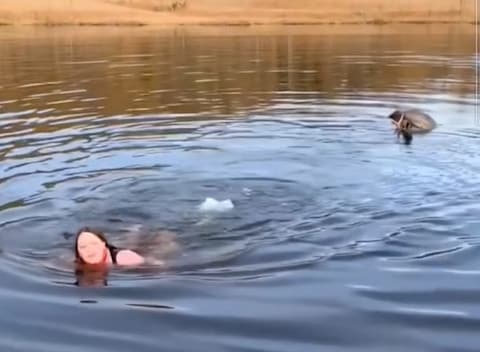 Her svømmer Guro elgoksen i land: – Nå må dere bare dokumentere!