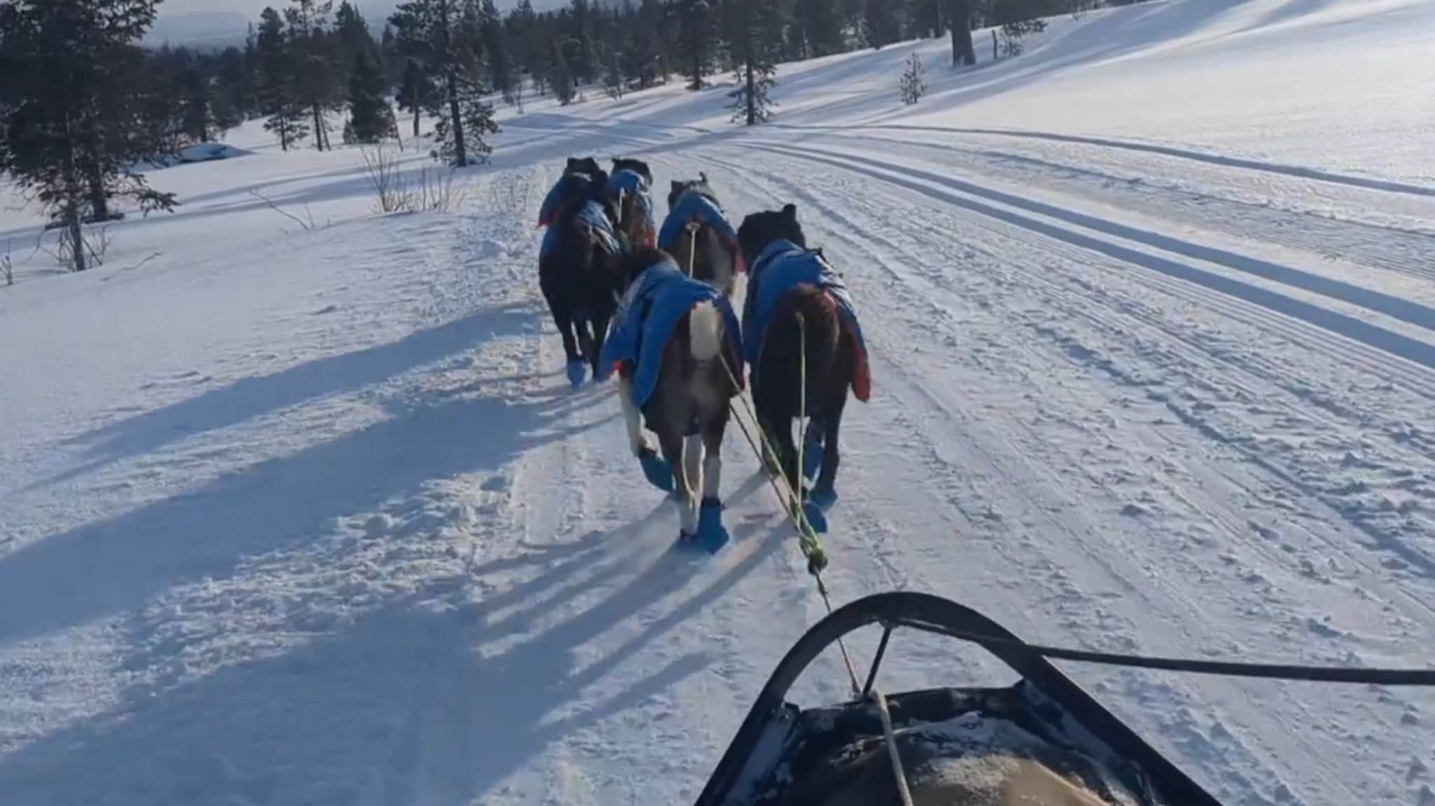 Her kommer Stine fra Salangen i mål etter 45 mil på sleden