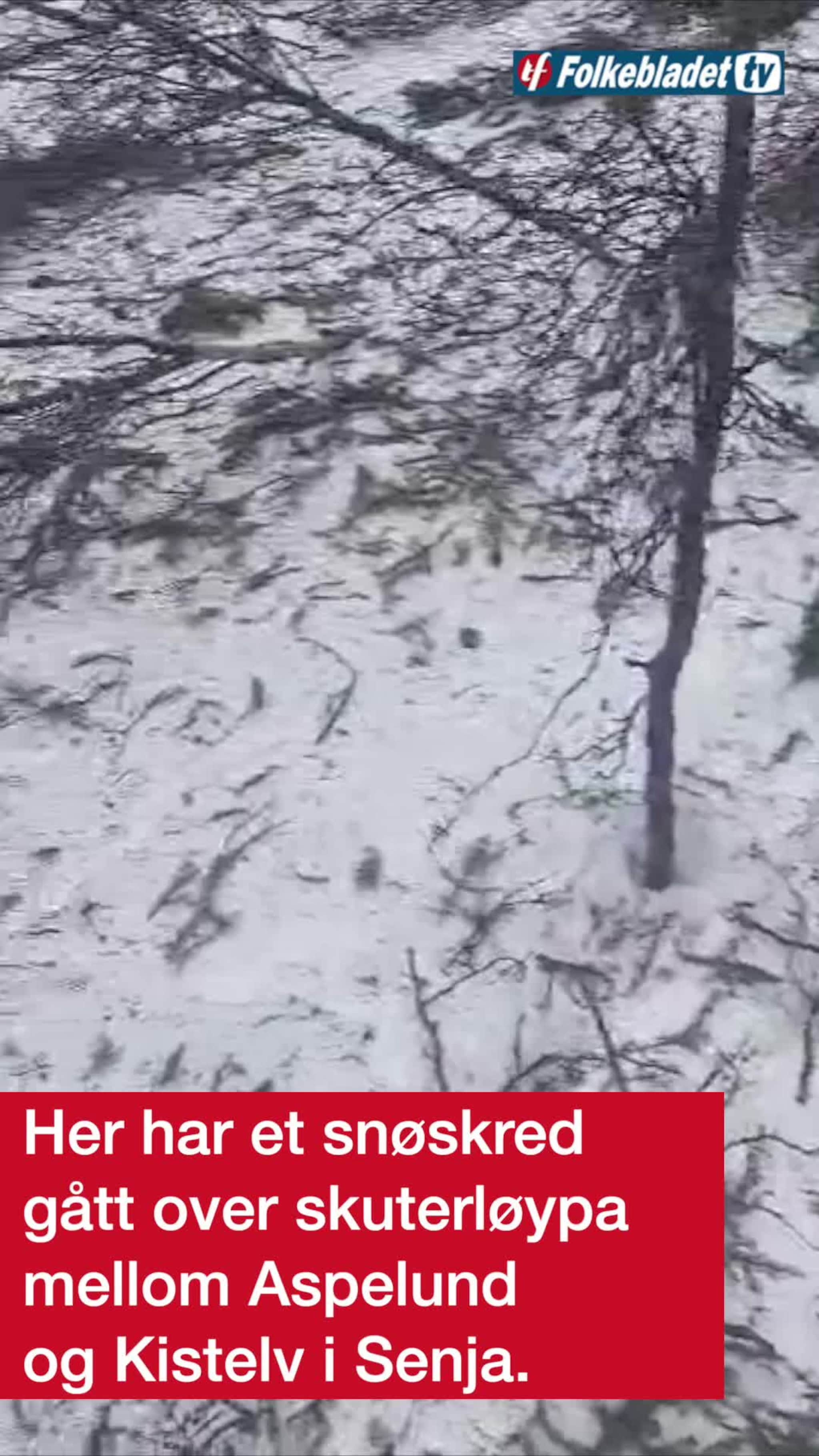 Her har skredet gått over den populære skuterløypa