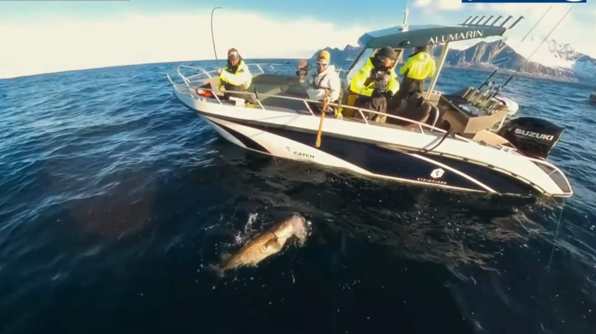 – Det har vært en drømmereise