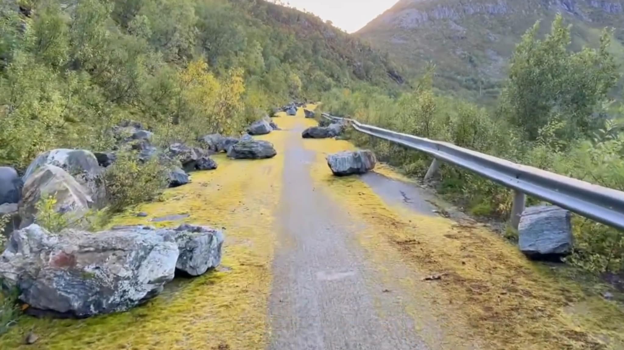 Naturen i ferd med å ta tilbake veien
