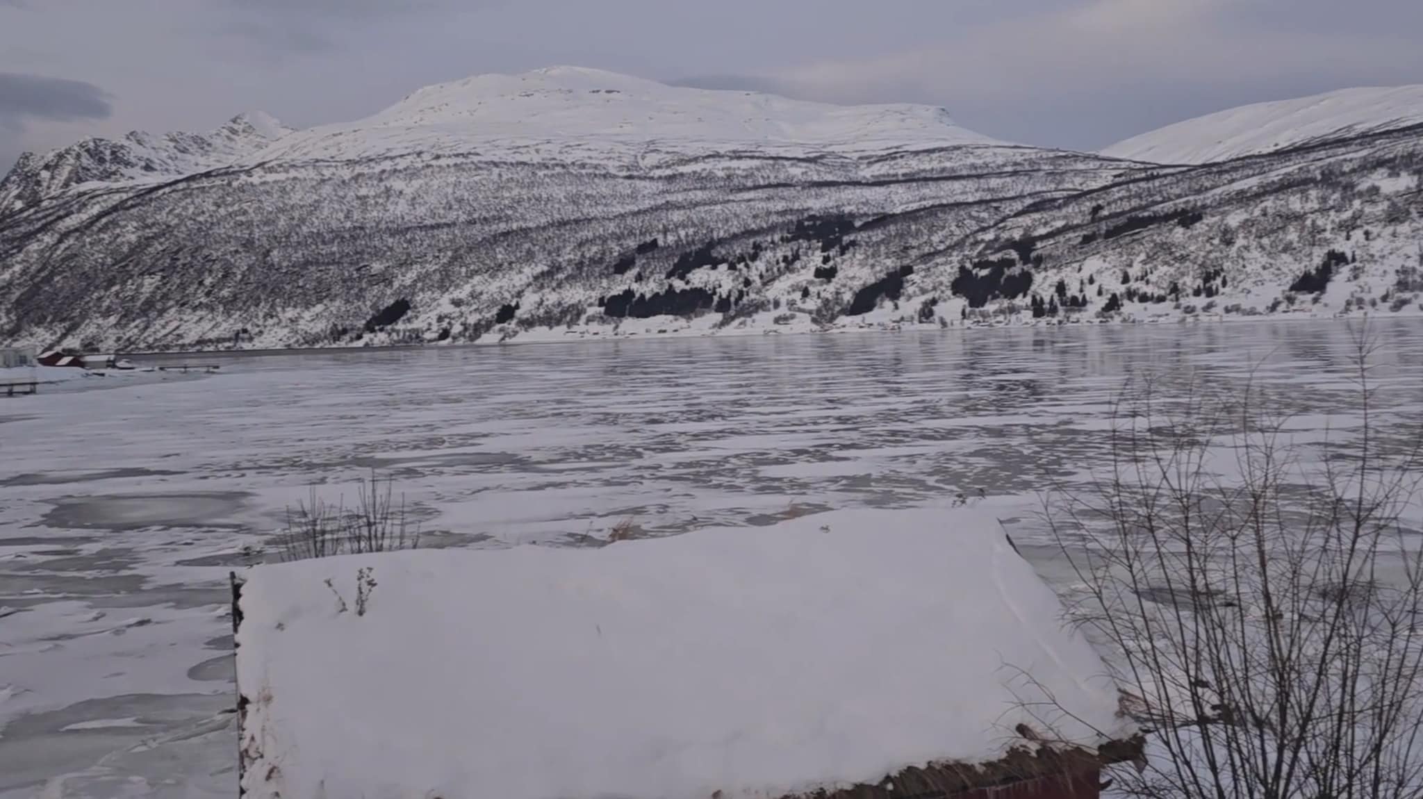 – Sjelden kost med is på fjorden så tidlig