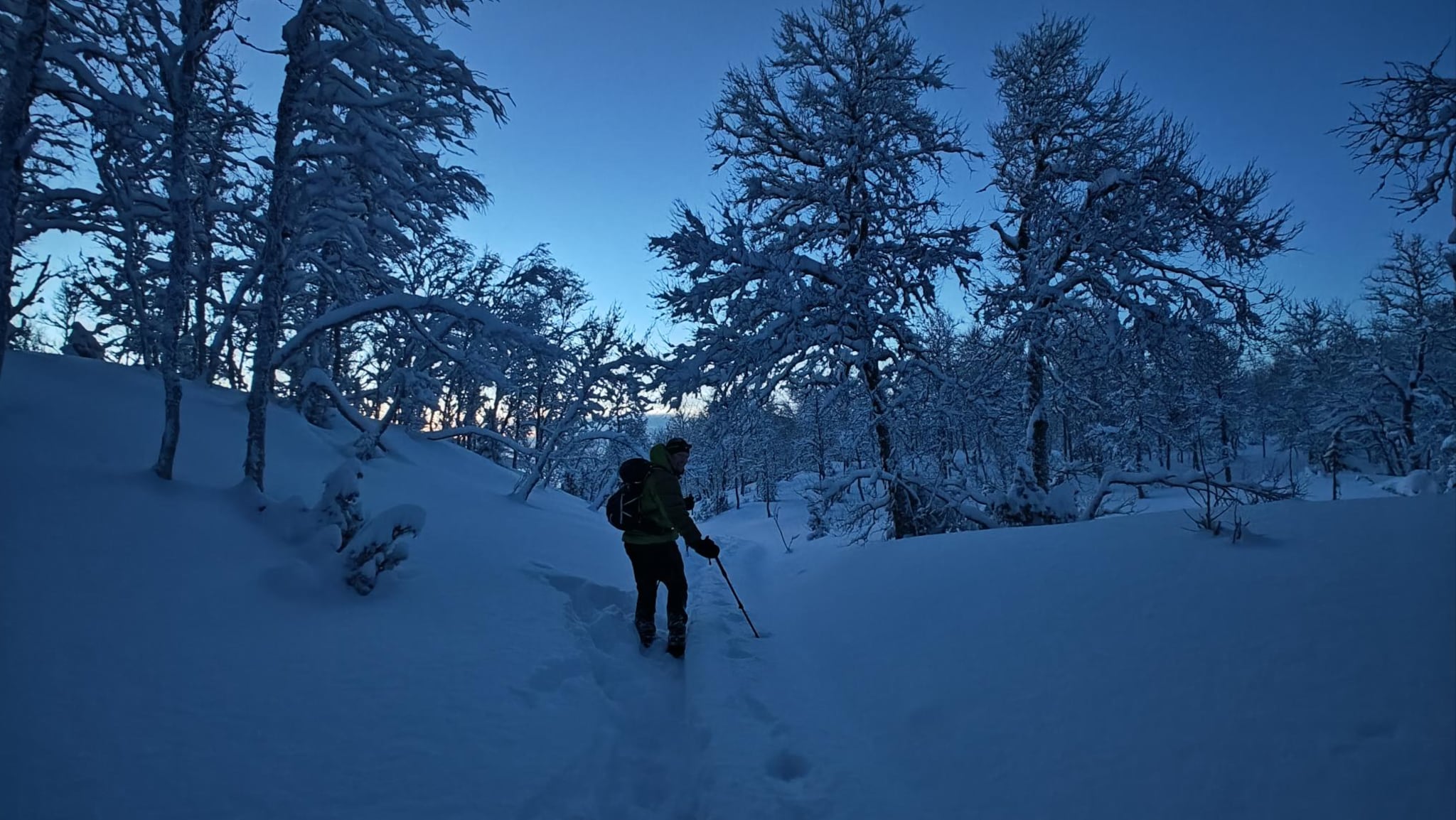 Ny oversikt over truet natur i Norge