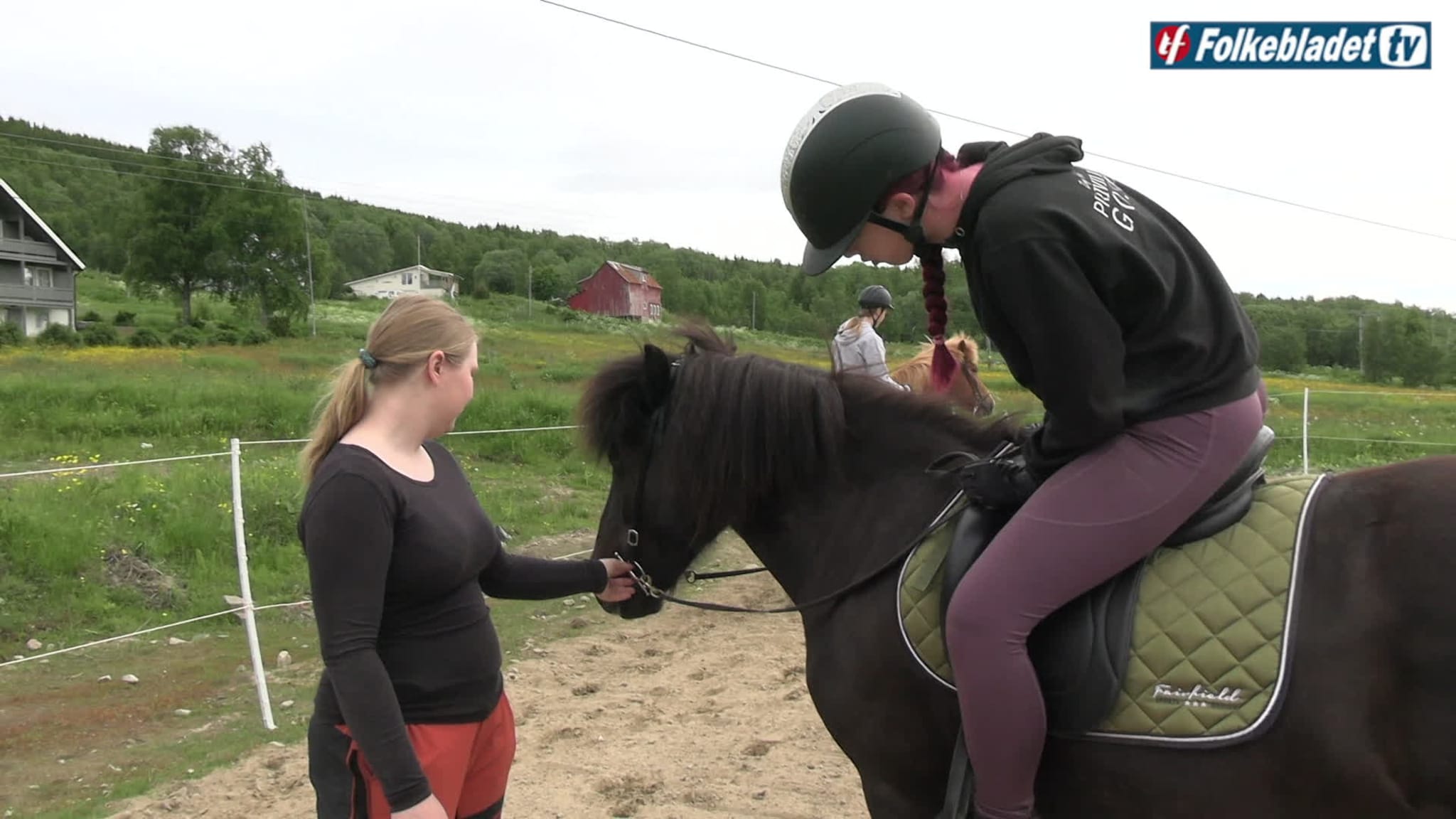 Livet er hest — starter hesteskole på Senja