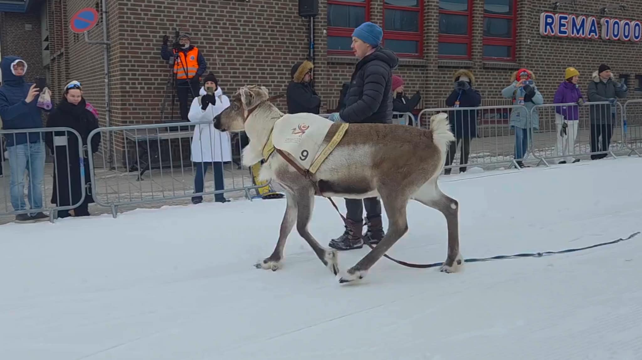 Full fart på reinkappløp