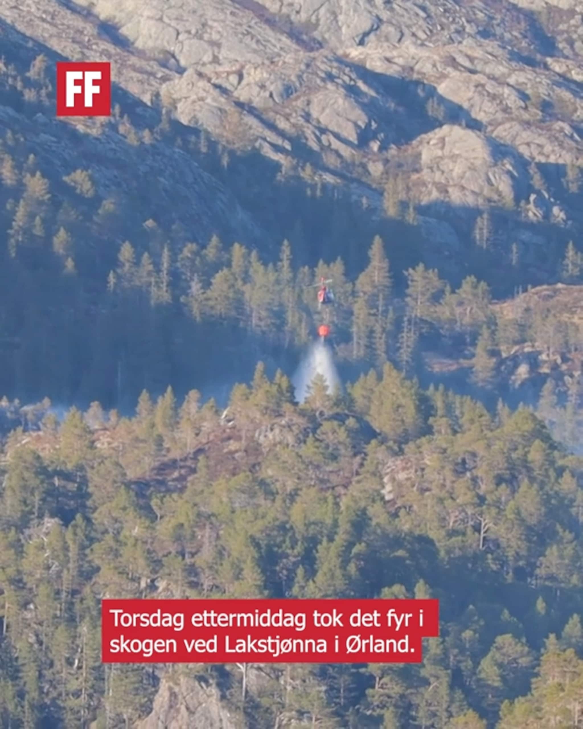 Tok fyr i skogen