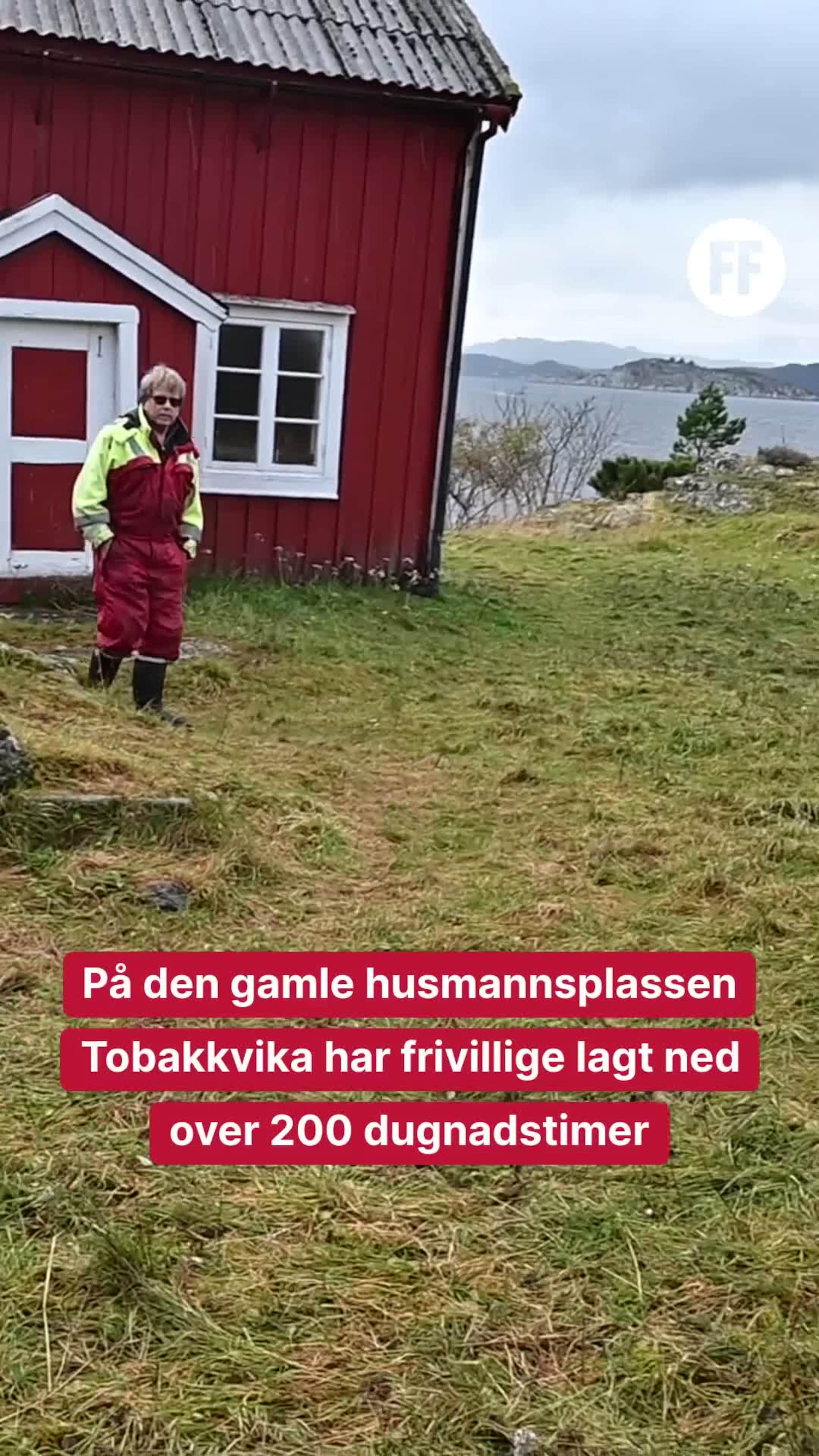 Nytt liv i Tobakkvika