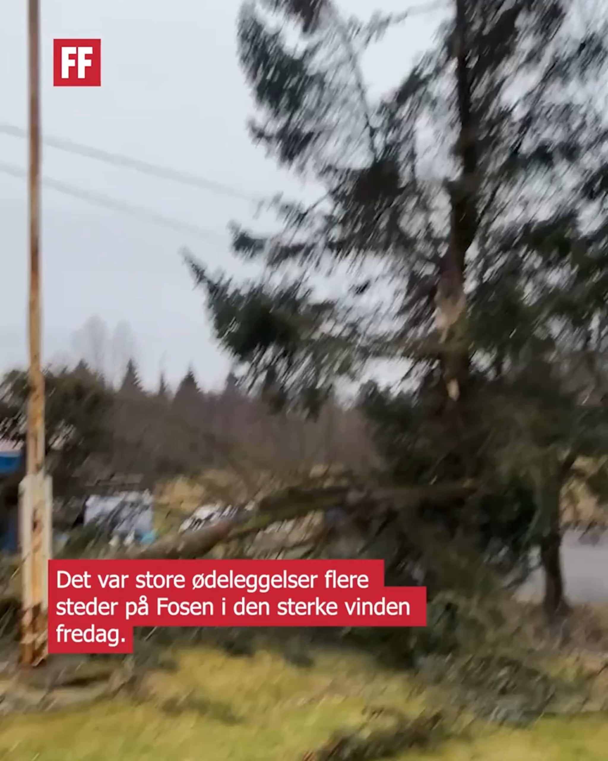 Store ødeleggelser i stormen