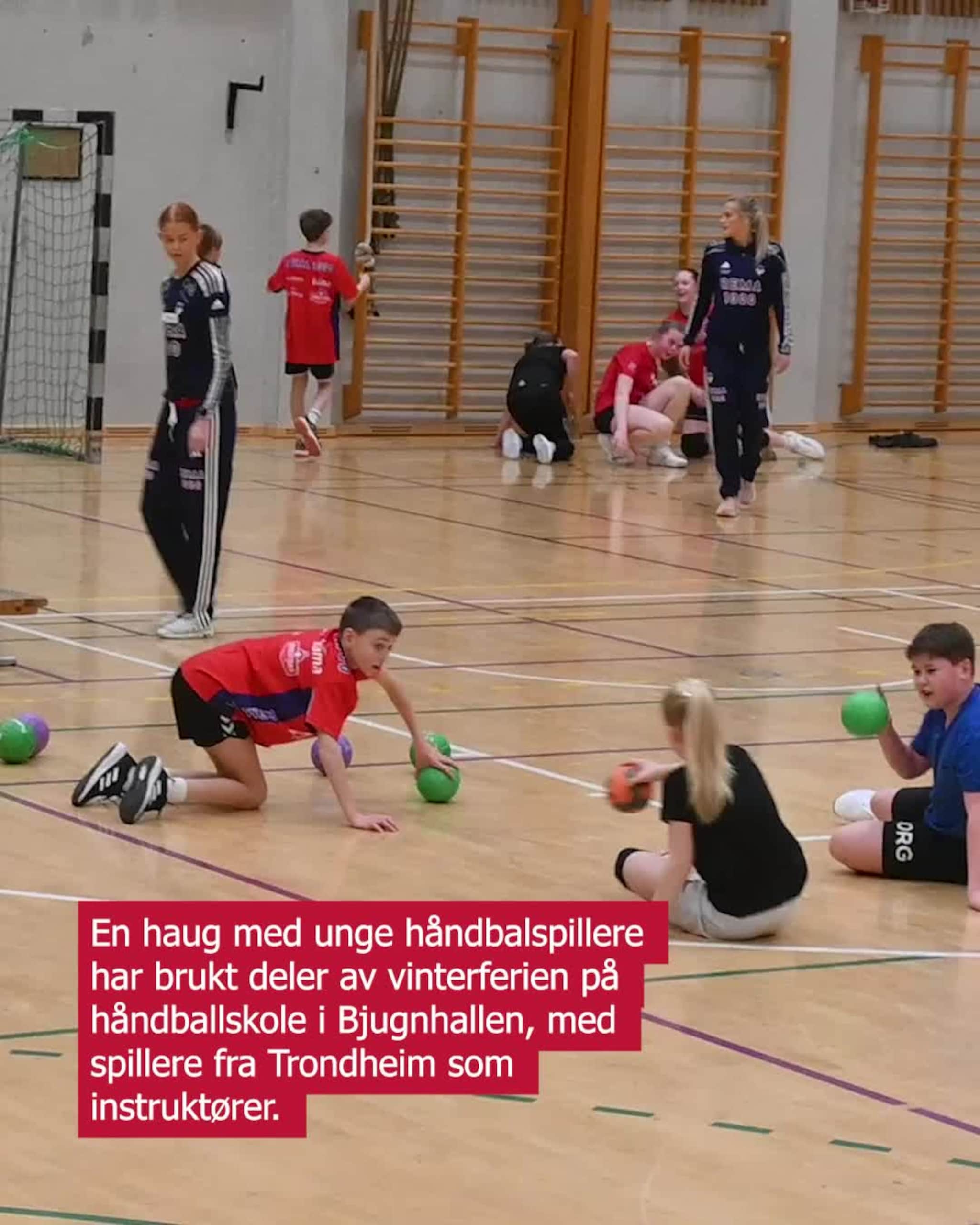 Brukte ferien i hallen