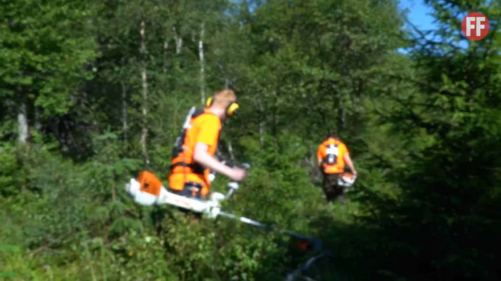 Sommerjobb i skogen