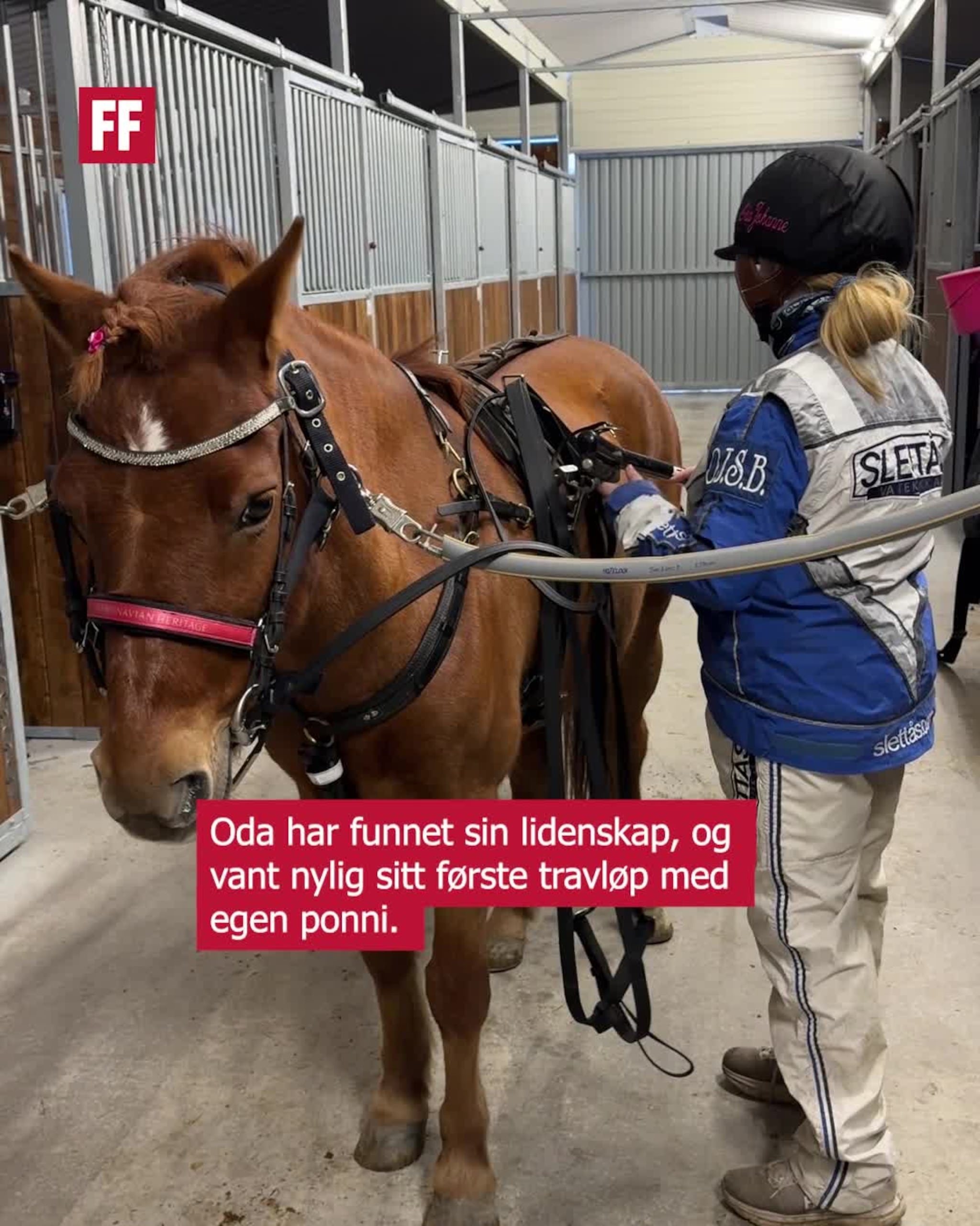 Fant sin lidenskap på travbanen