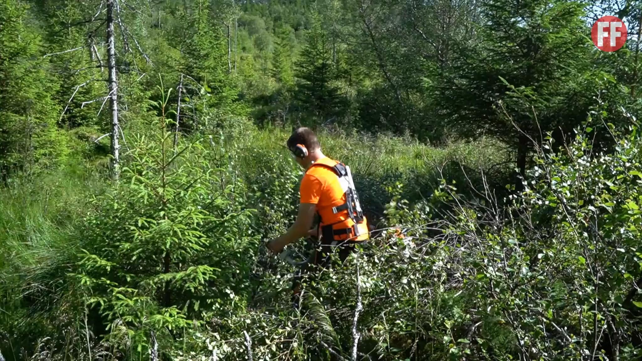 Full fart i skogen