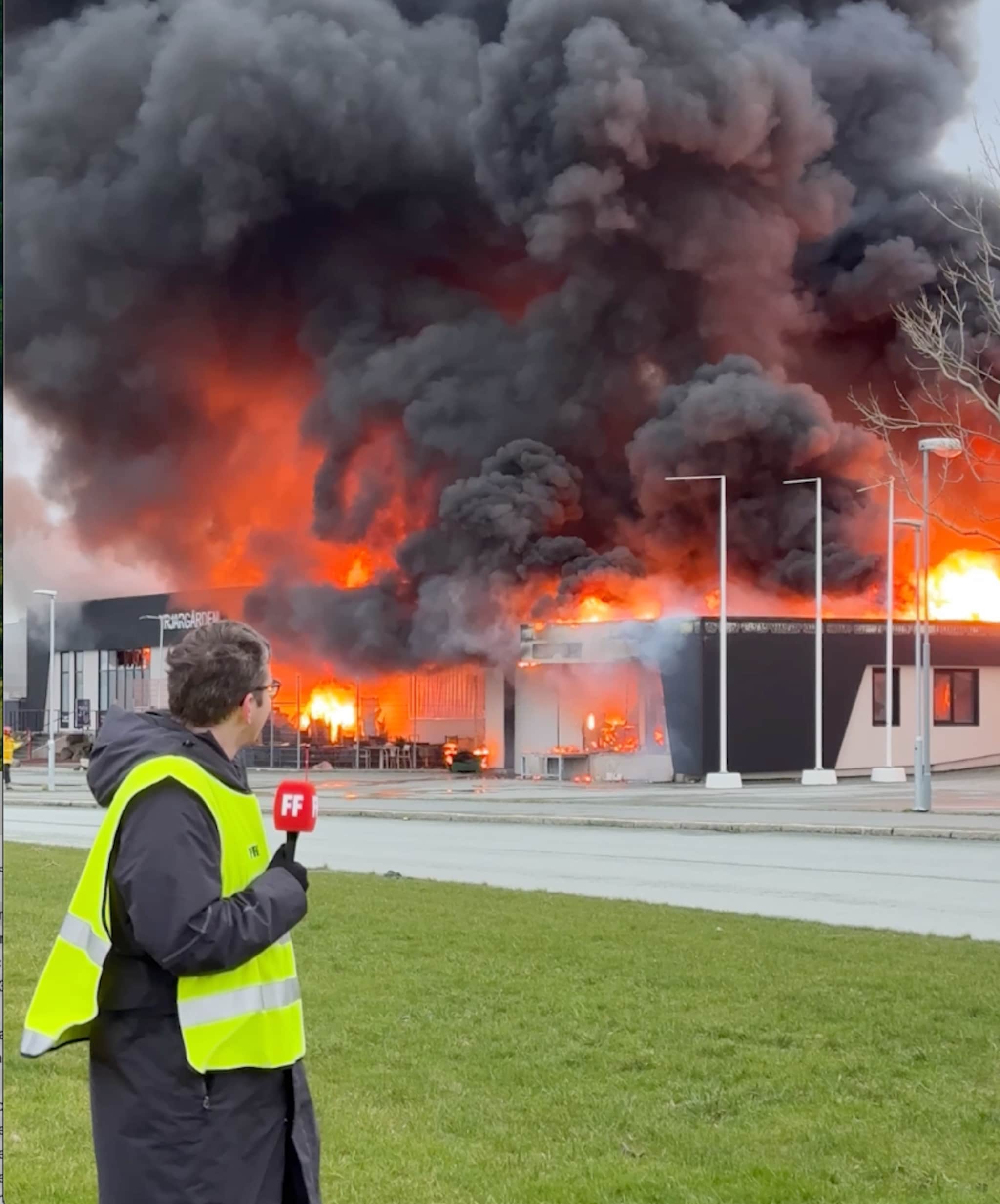 Storbrann i Brekstad