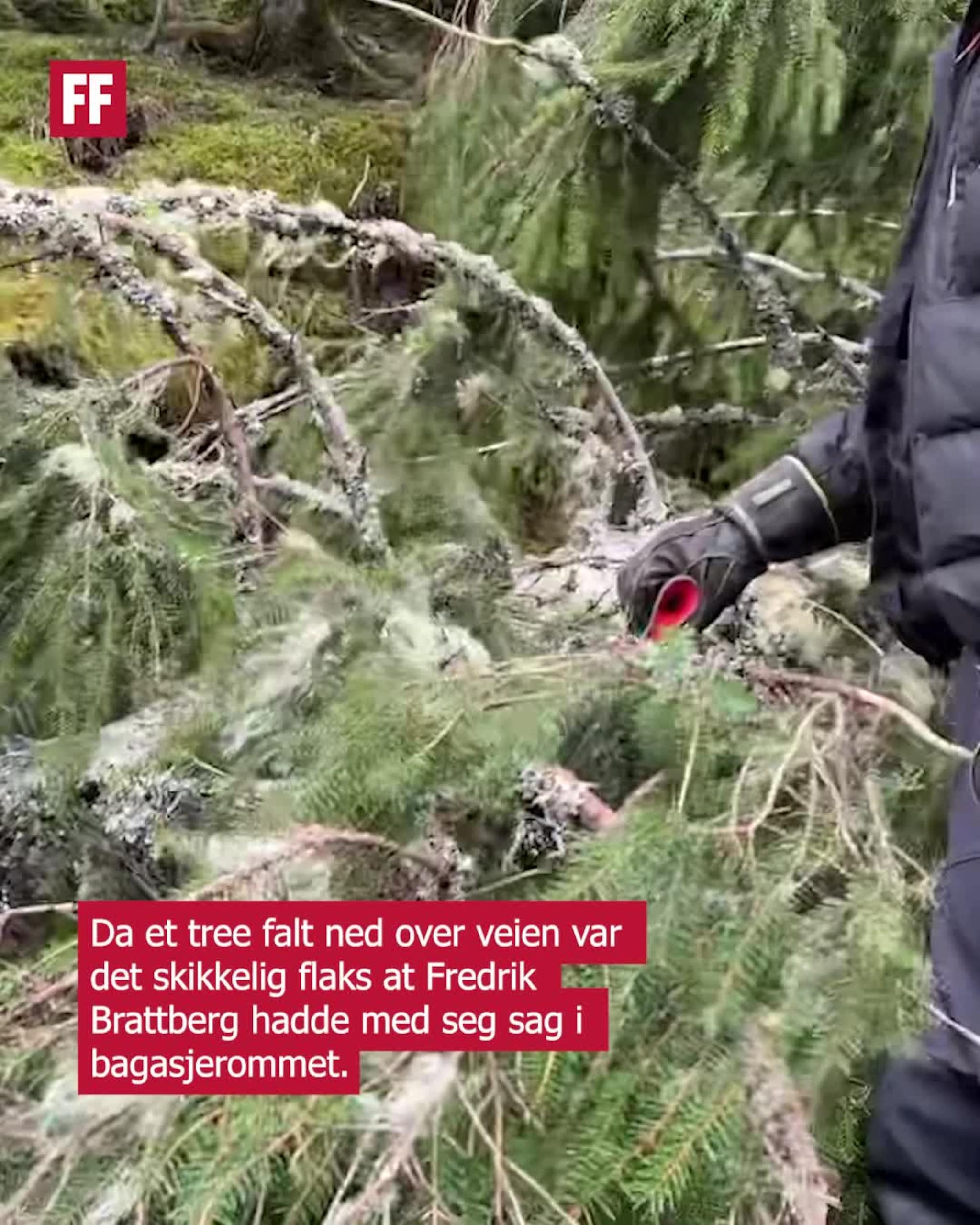Måtte trø til selv da tre falt over veien