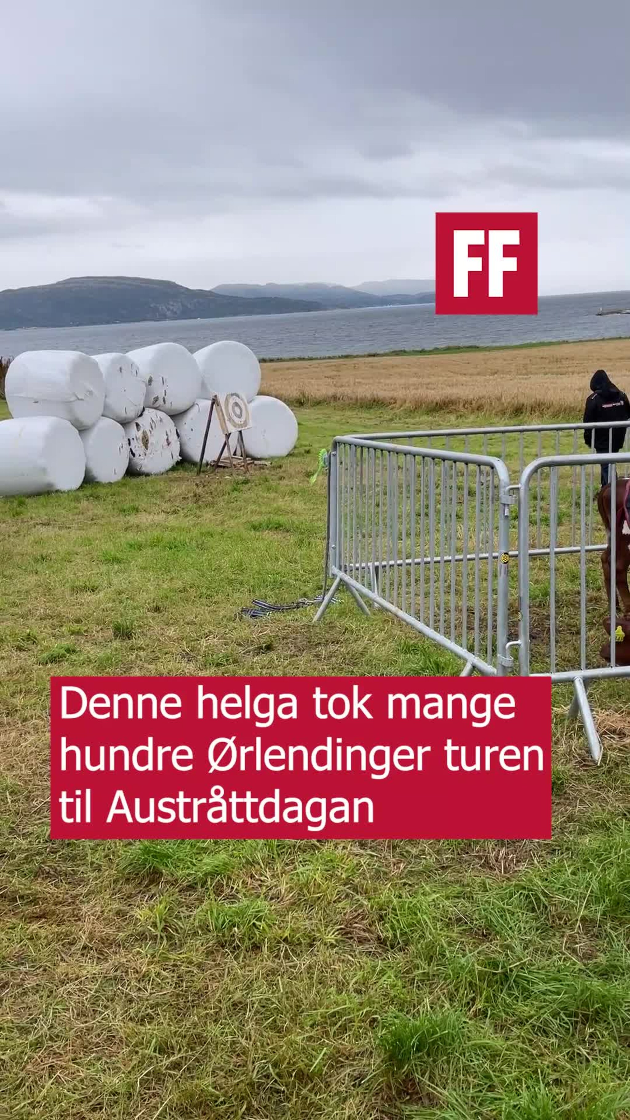 Ny rekord for Austråttdagan
