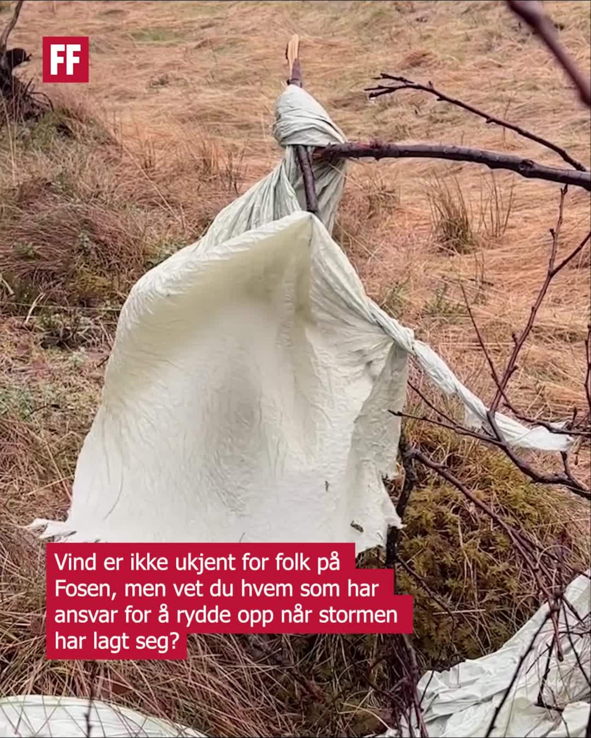 Hvem har ansvar for å rydde opp etter stormen?